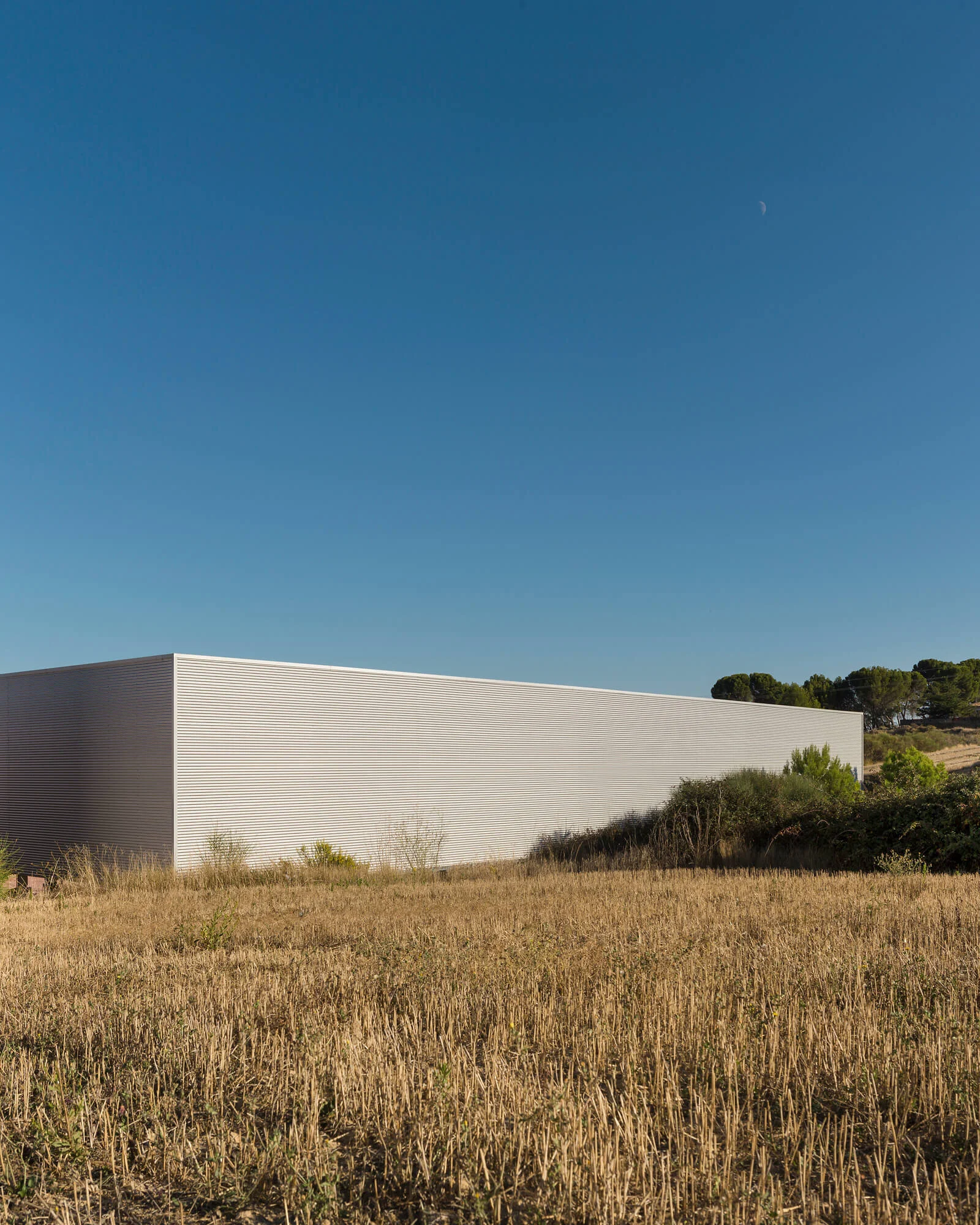 _MG_4719-Panorámica copia.jpg