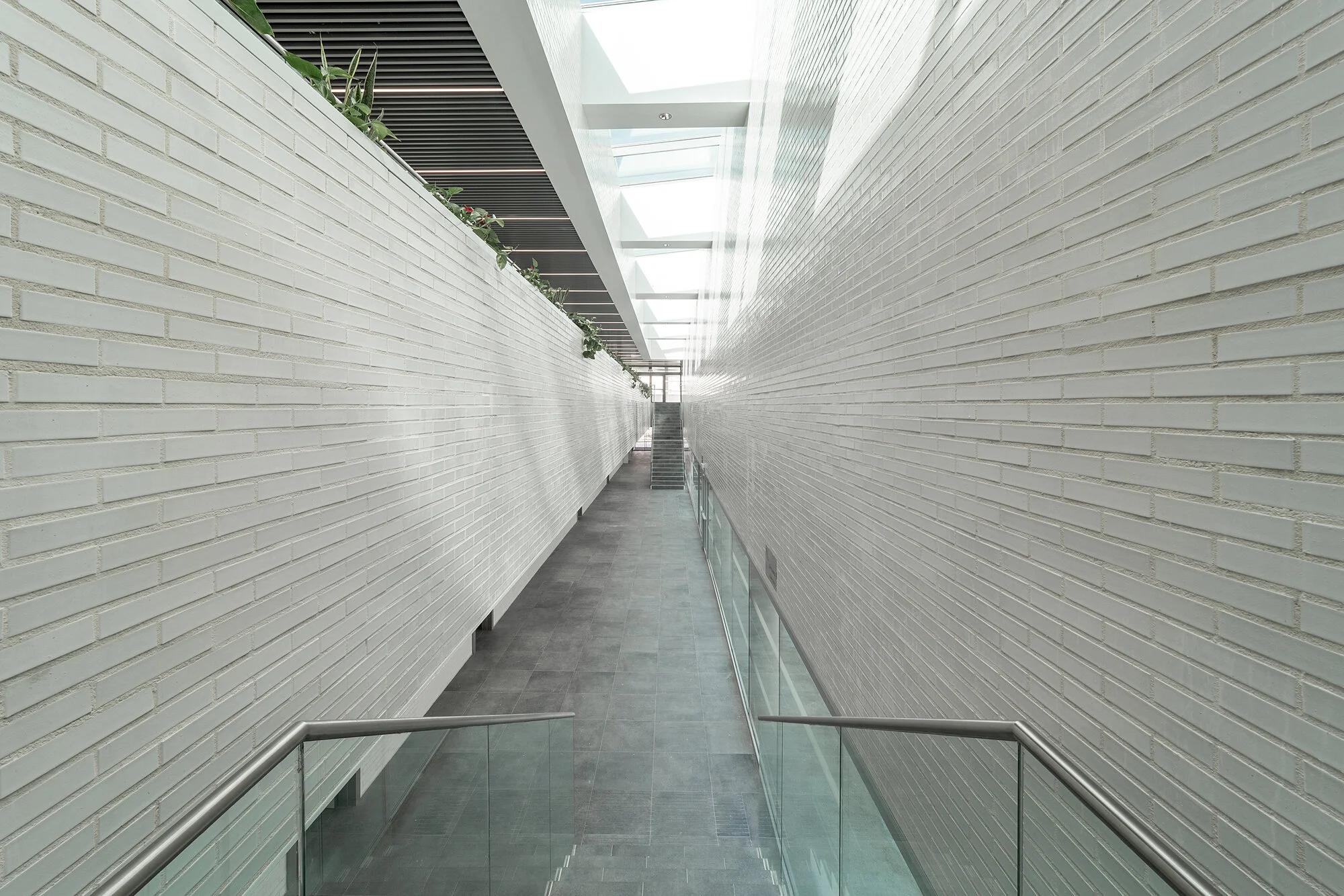 _MG_3642-HDR.jpg