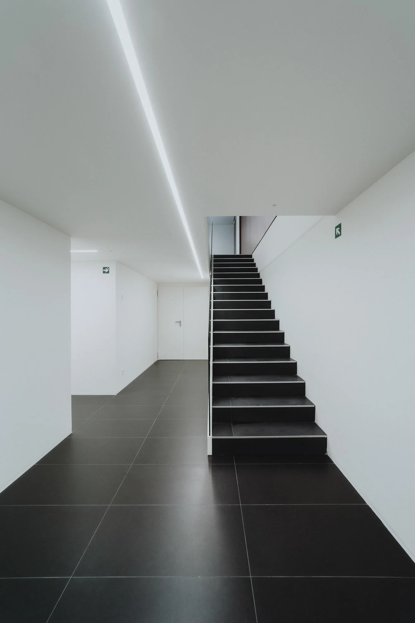 Osés_QIBU_2000px_Web, redes_0045.jpg