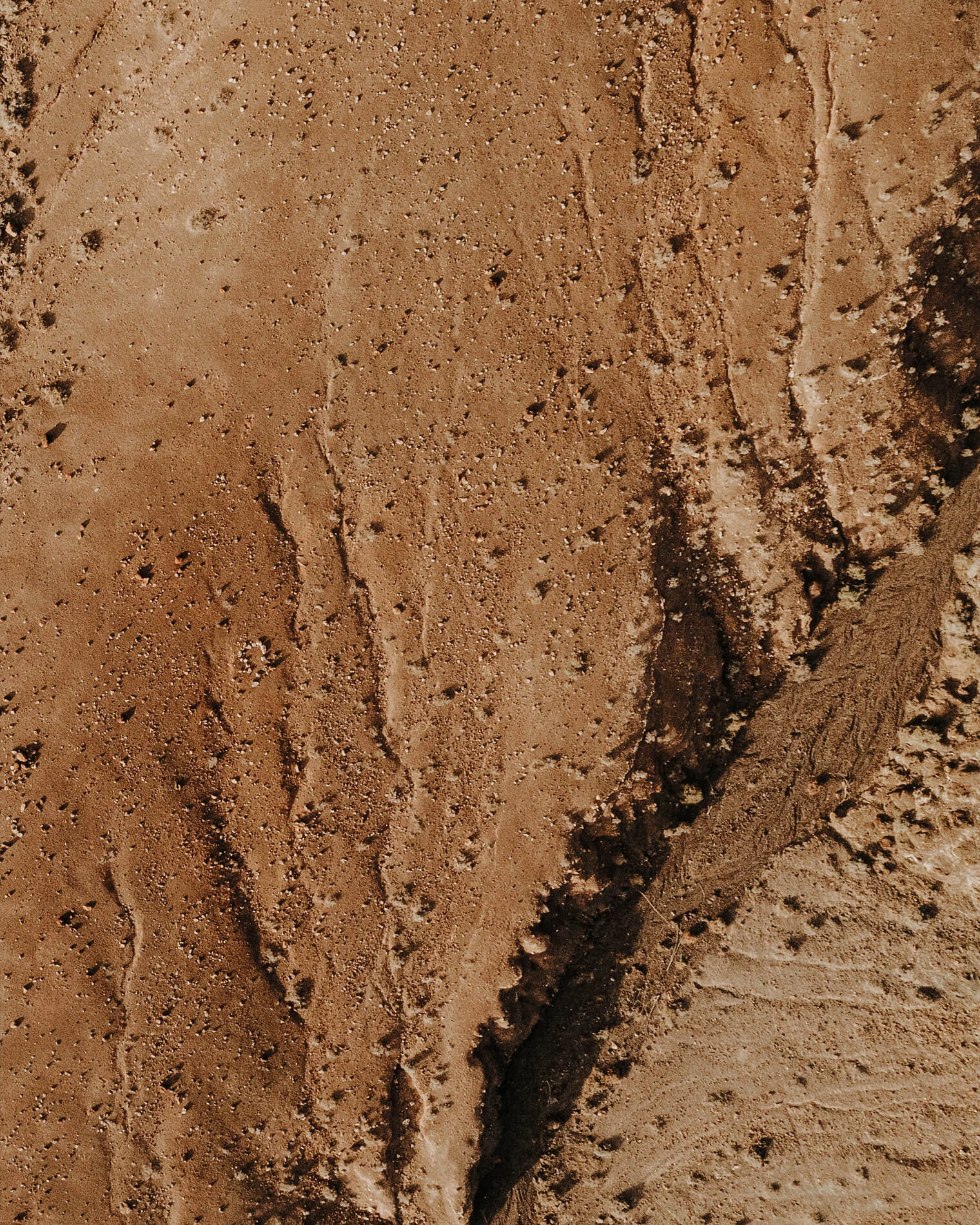 Aerial_Tiny_1900px_0013.jpg