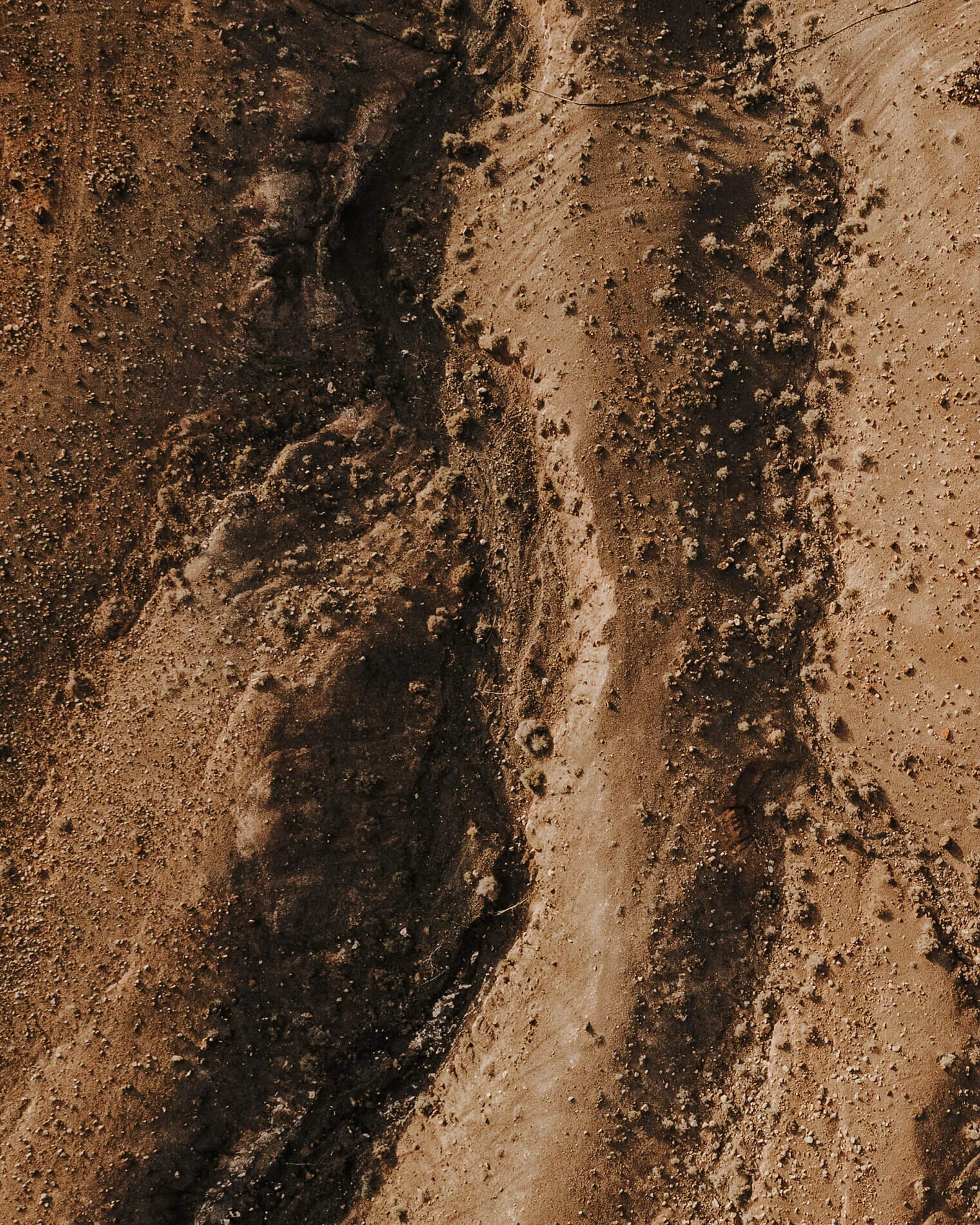 Aerial_Tiny_1900px_0012.jpg