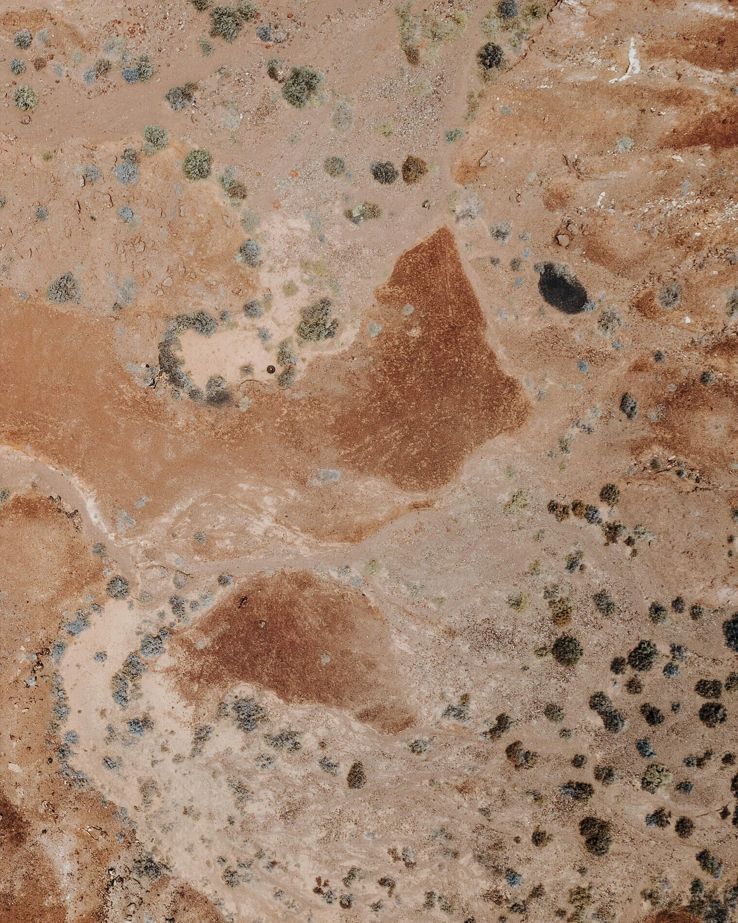 Aerial_Tiny_1900px_0009.jpg