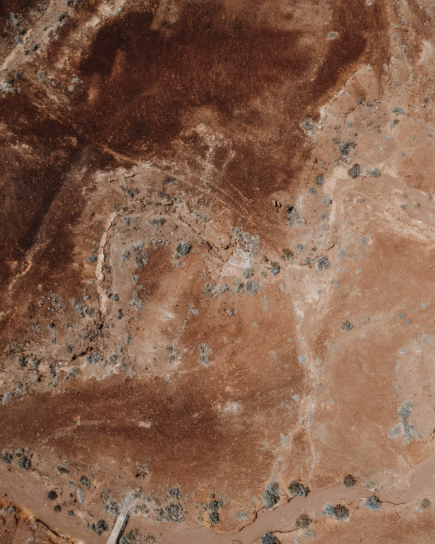 Aerial_Tiny_1900px_0008.jpg