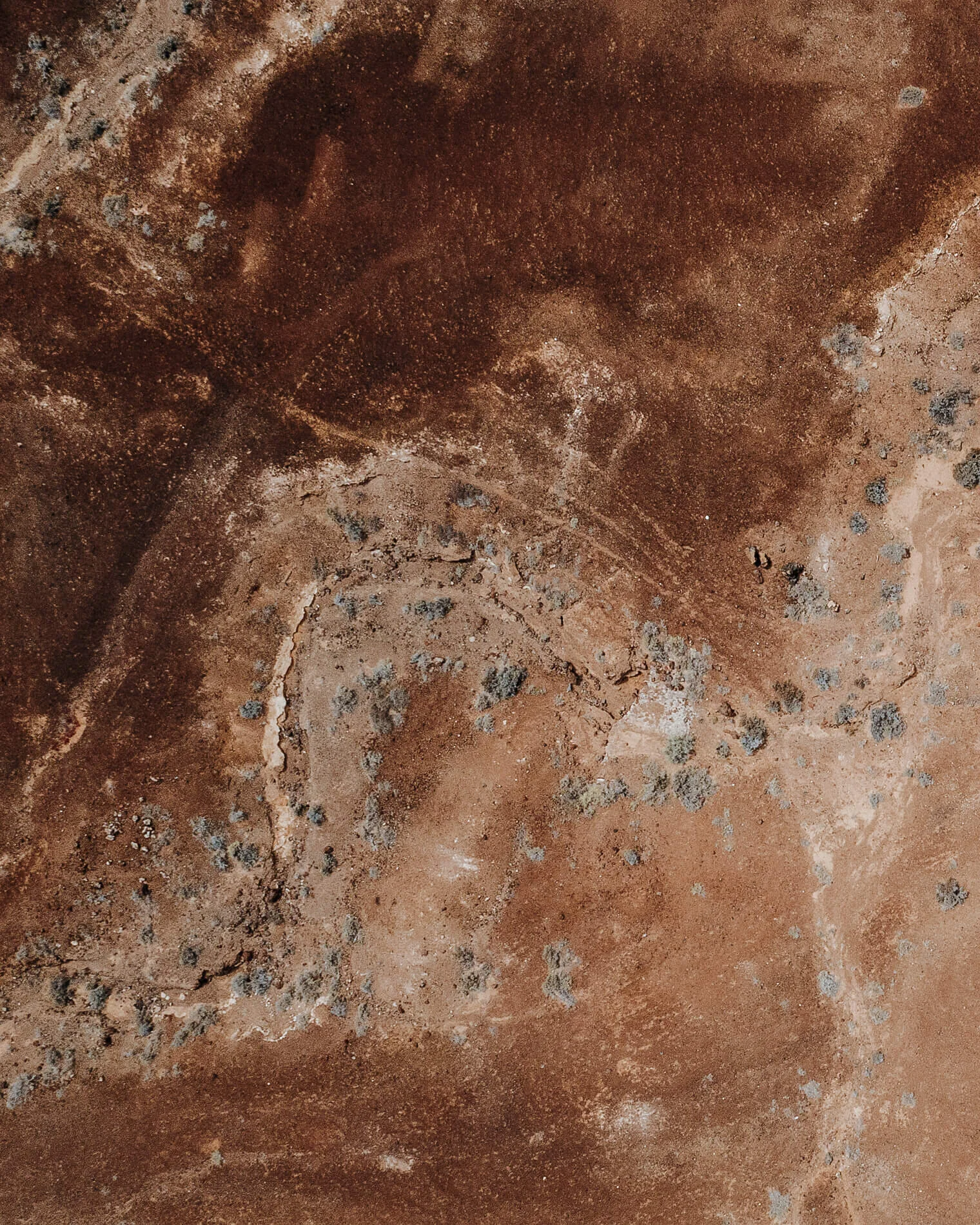 Aerial_Tiny_1900px_0007.jpg