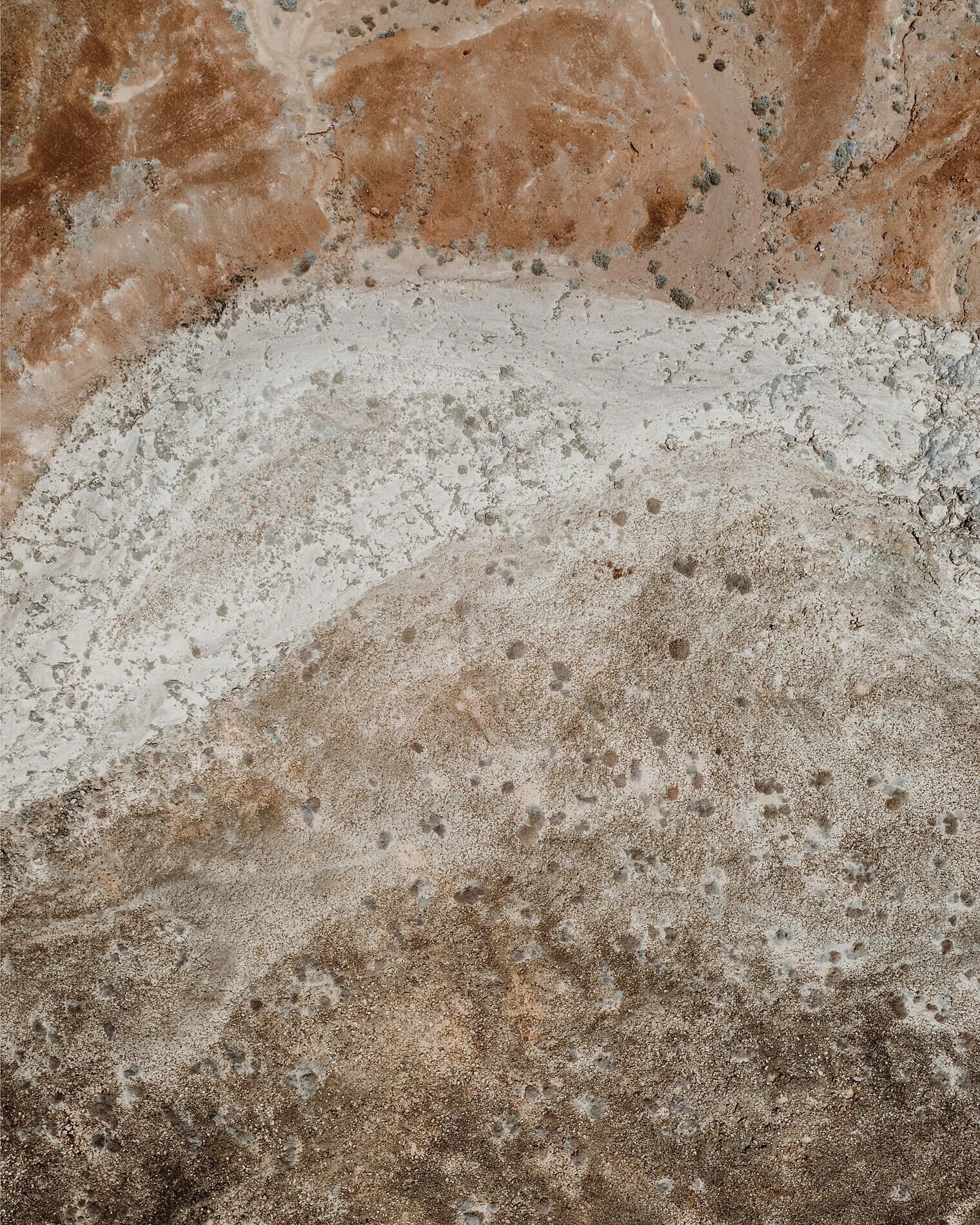 Aerial_Tiny_1900px_0006.jpg