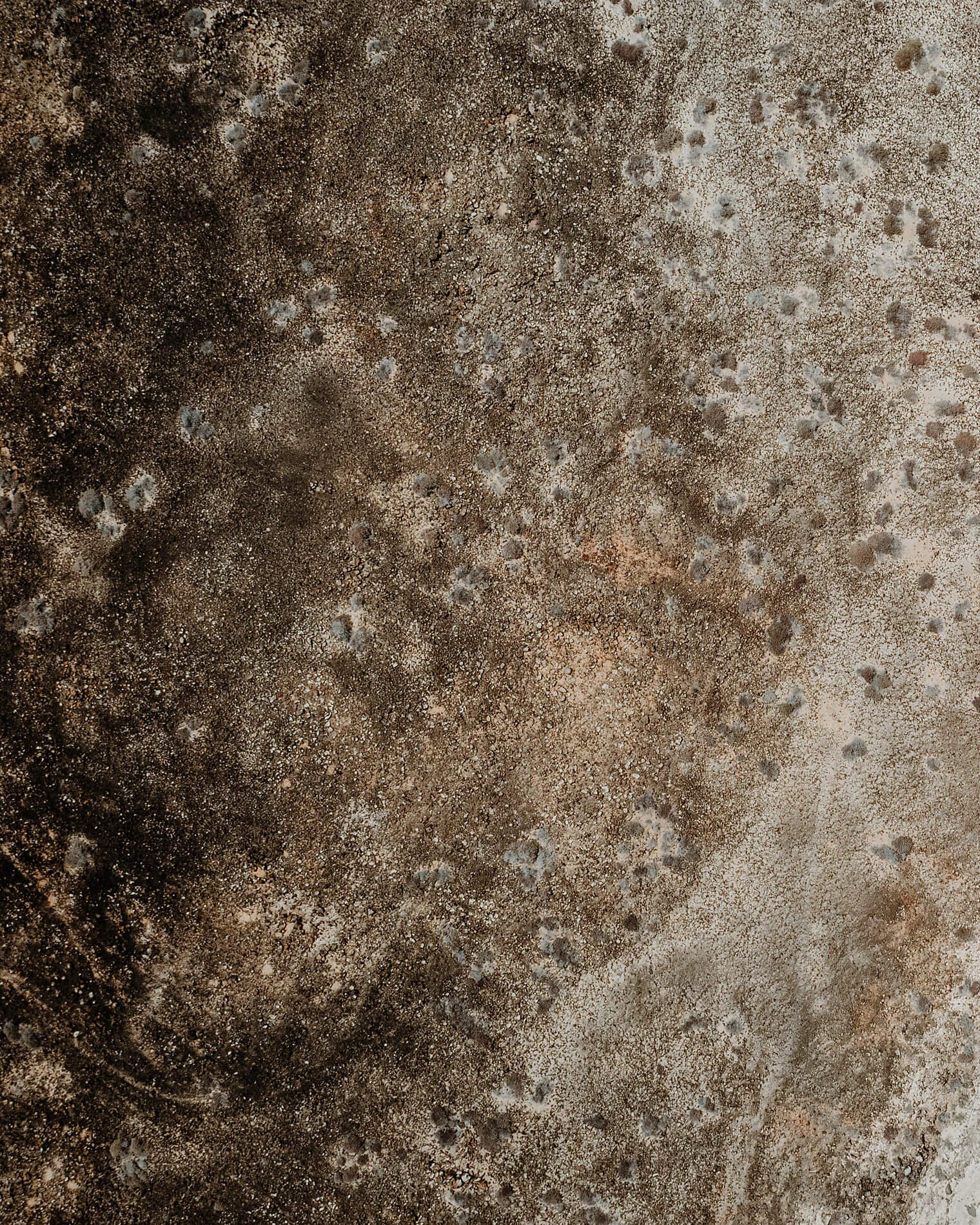 Aerial_Tiny_1900px_0005.jpg