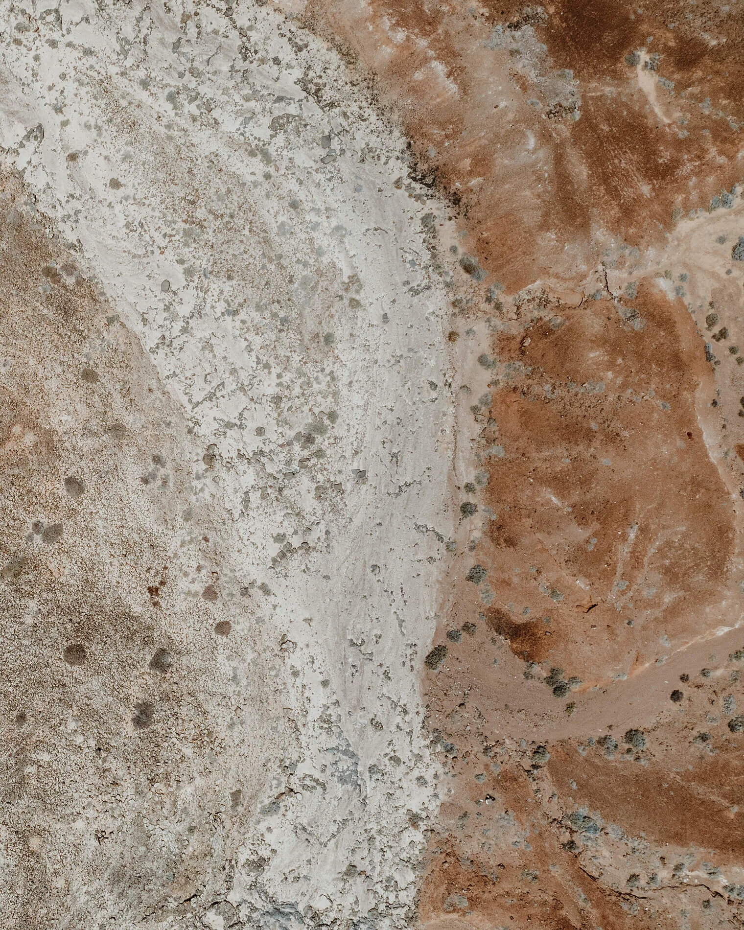 Aerial_Tiny_1900px_0004.jpg