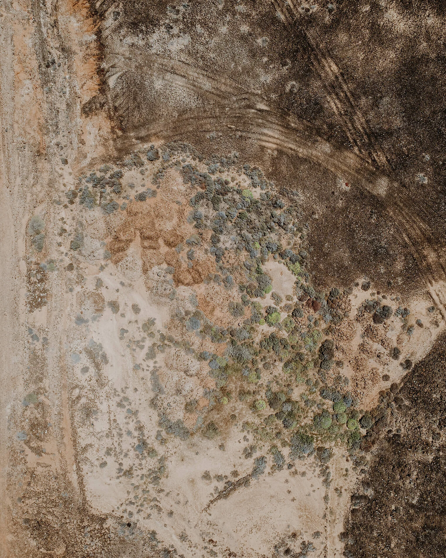 Aerial_Tiny_1900px_0003.jpg