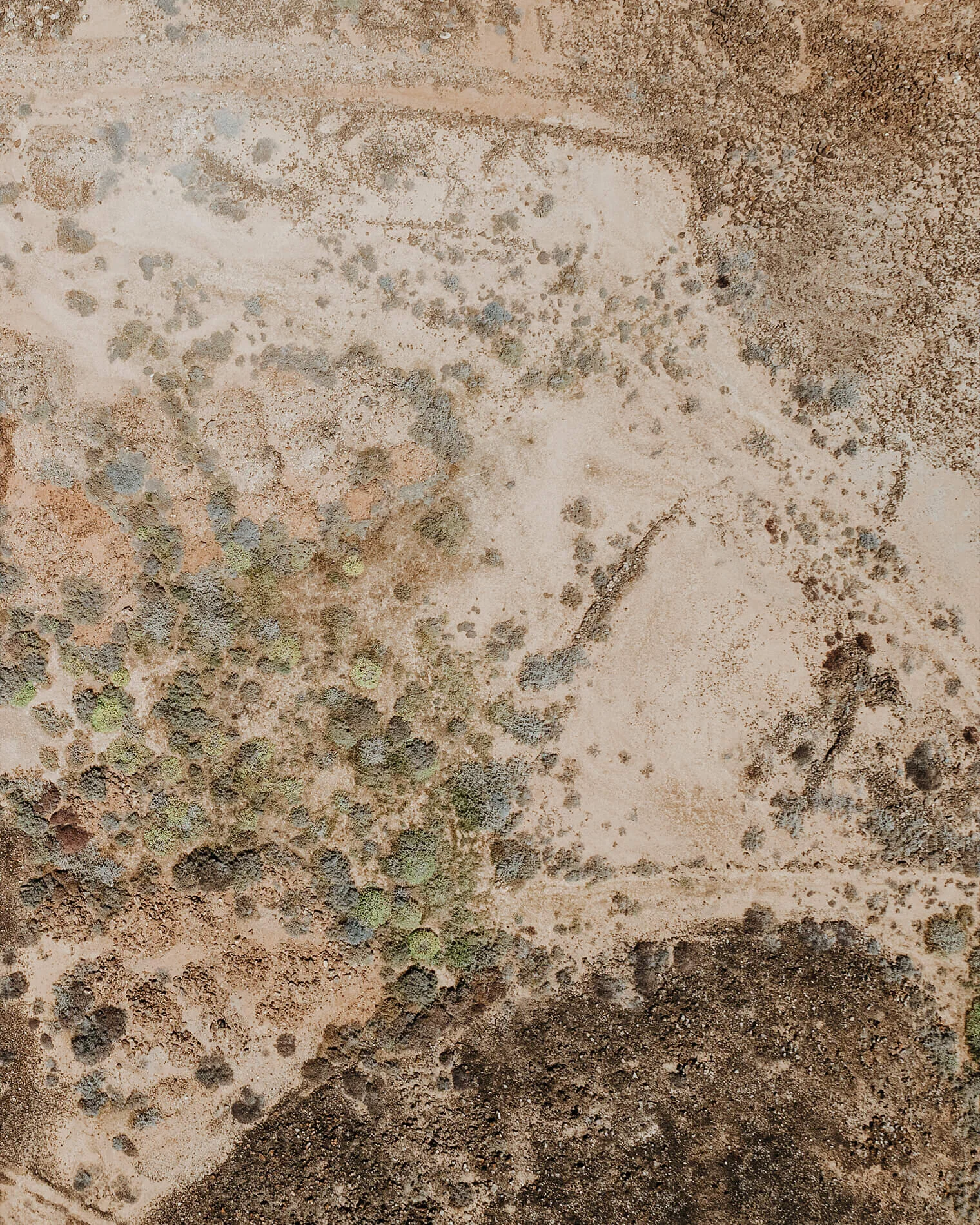 Aerial_Tiny_1900px_0002.jpg
