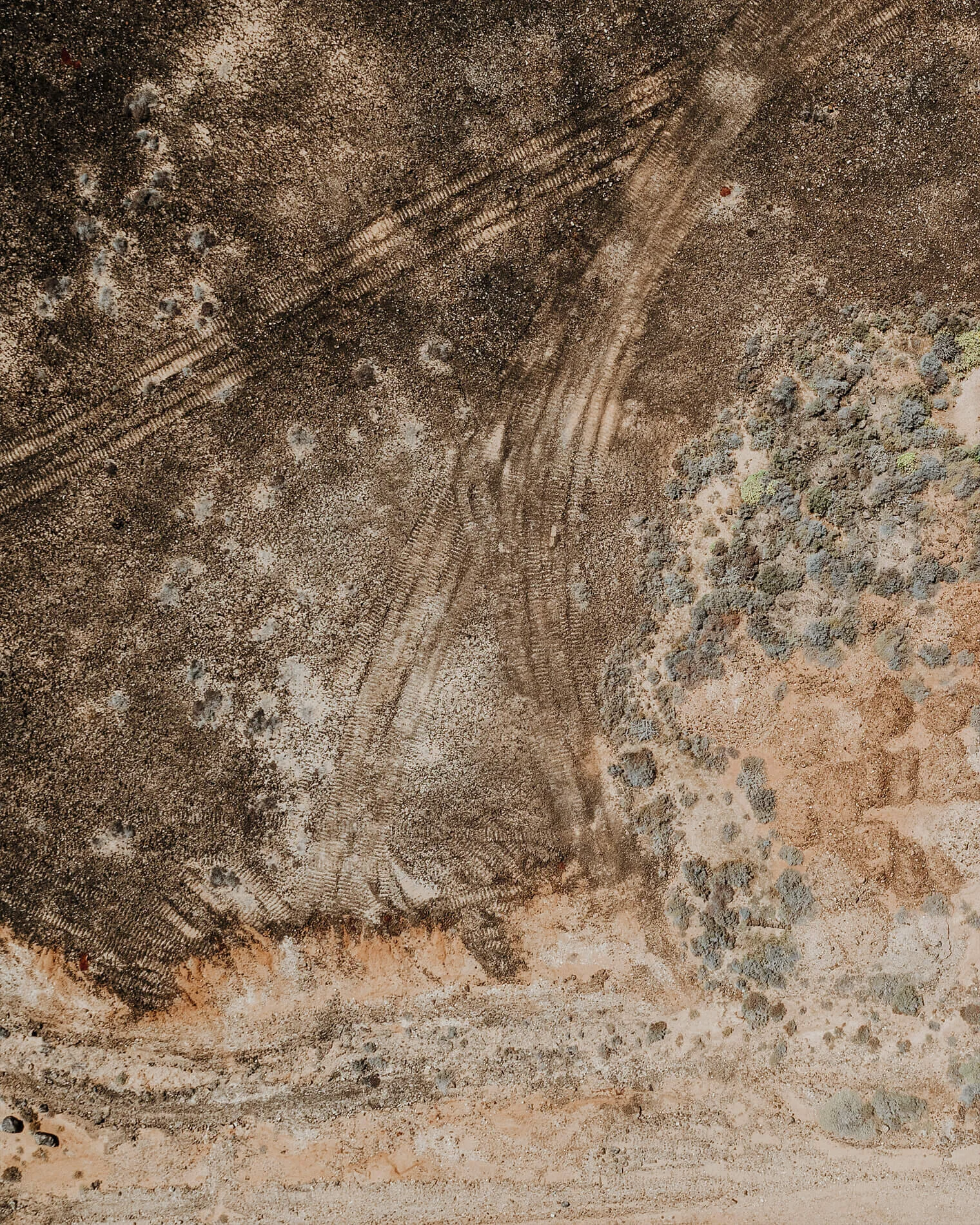 Aerial_Tiny_1900px_0001.jpg