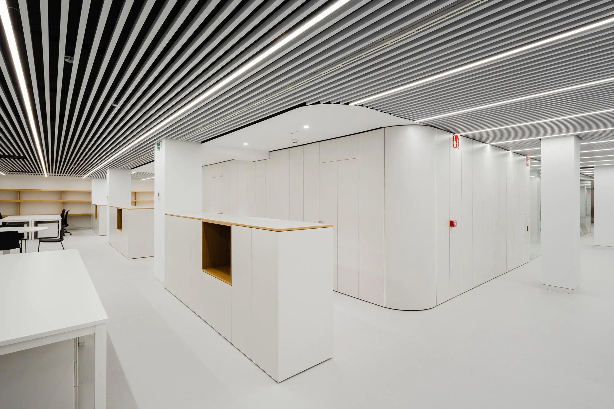 Oficinas_C_Arrieta_BeguiristainArq_AltaResolución_0011.jpg