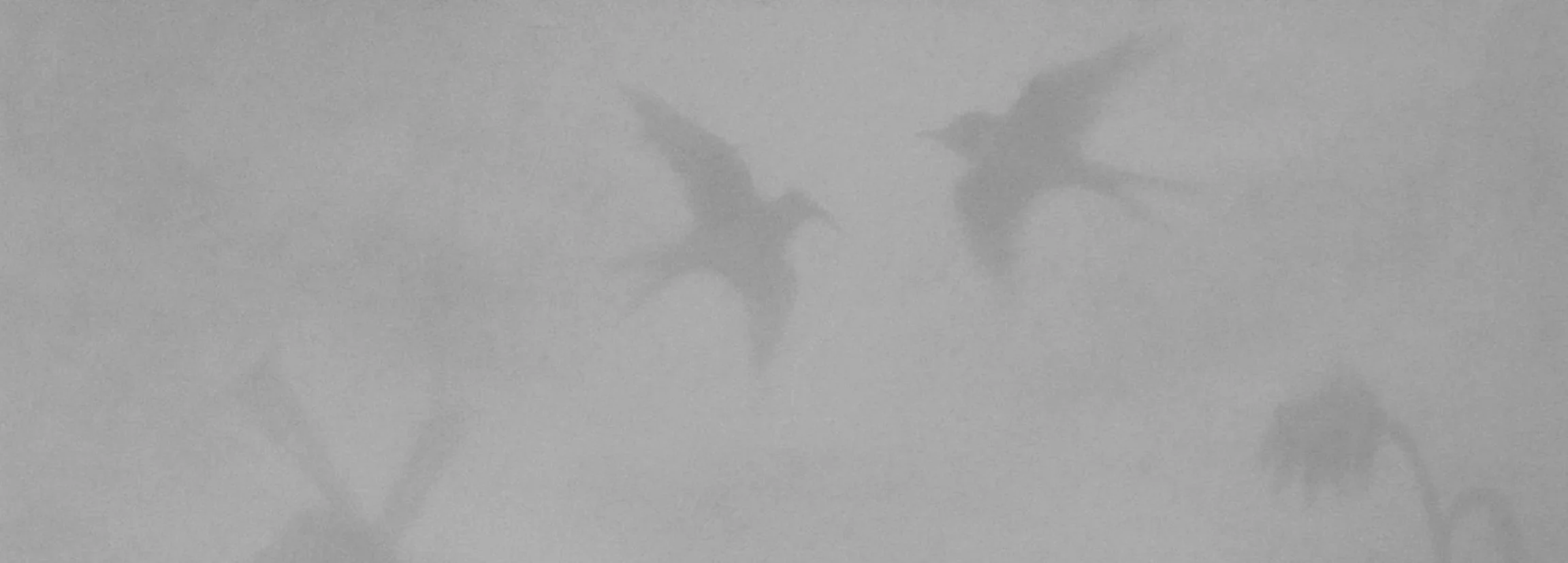 Screenshot 2026-01-08 165212.jpg