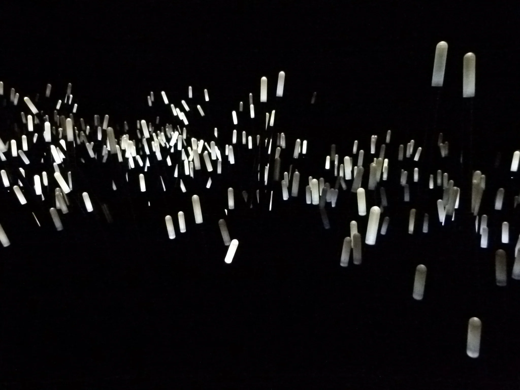 image1.jpeg
