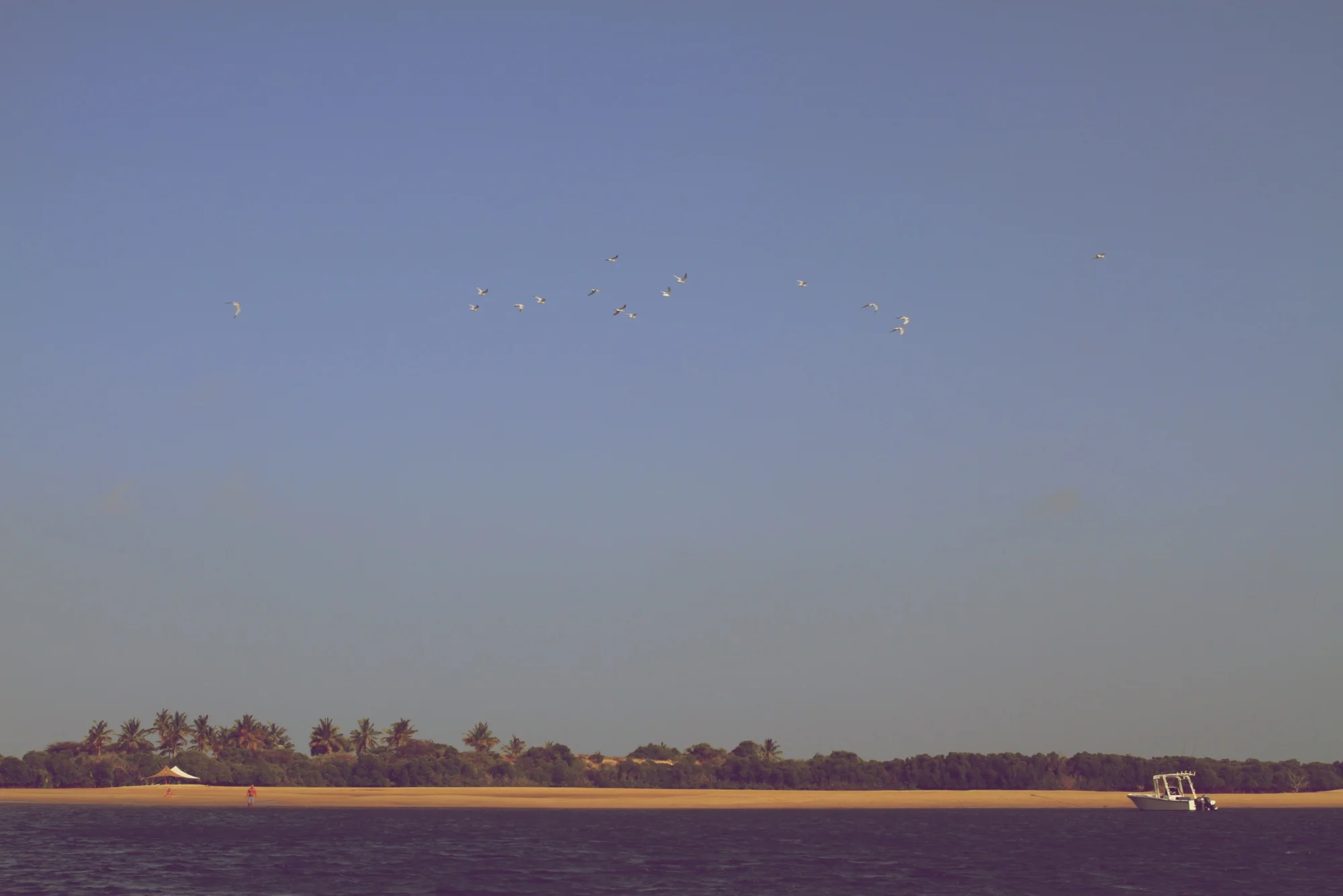lamu20141230_293.jpg