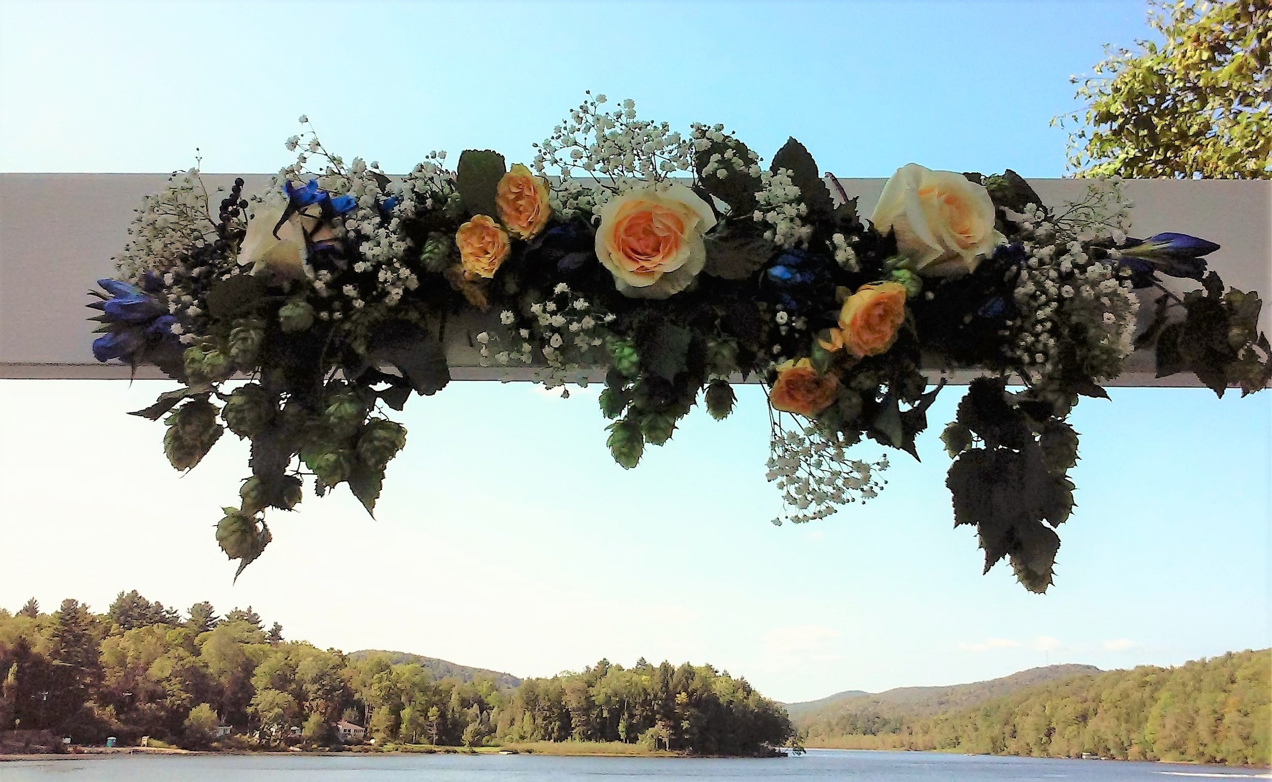 20160904_154146.jpg