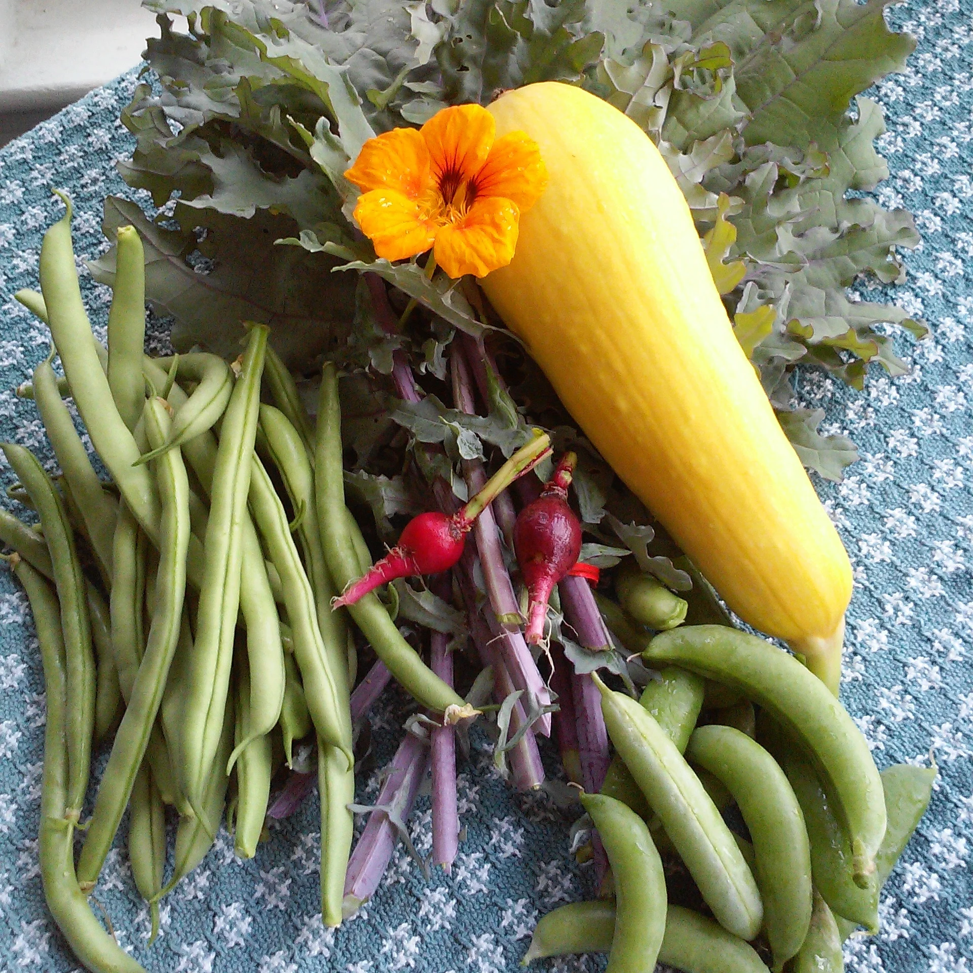 Veggie Melange
