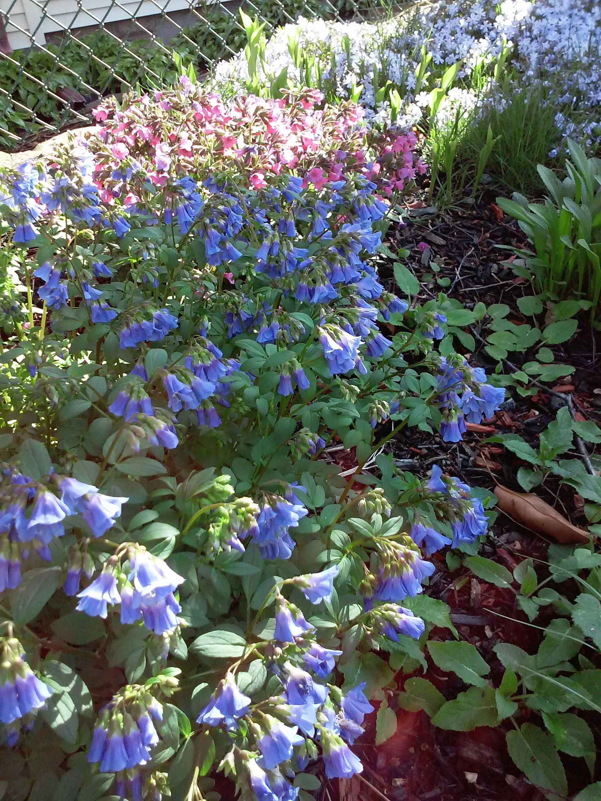 20160427_084255.jpg