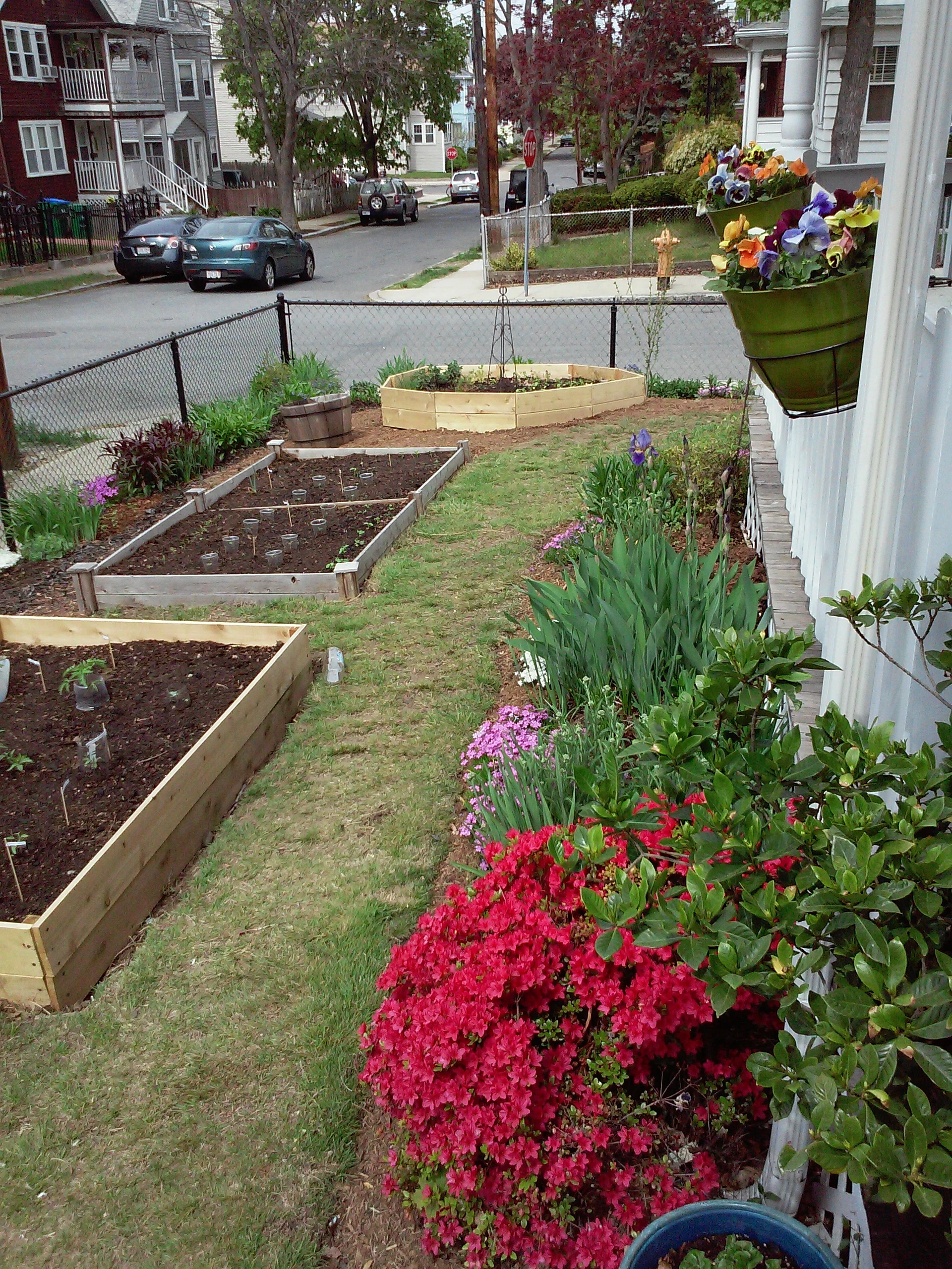 20150515_105224.jpg