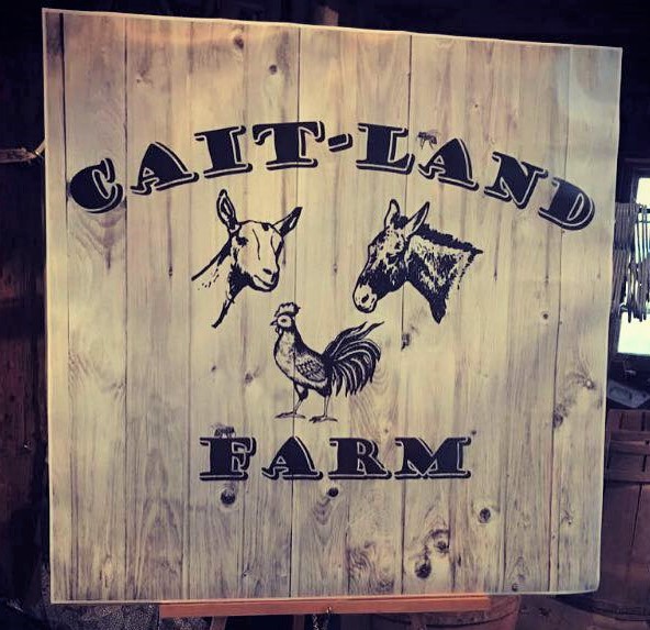Cait Land Farm Sign.jpg