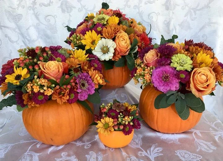 Stuffed Pumpkins.jpg