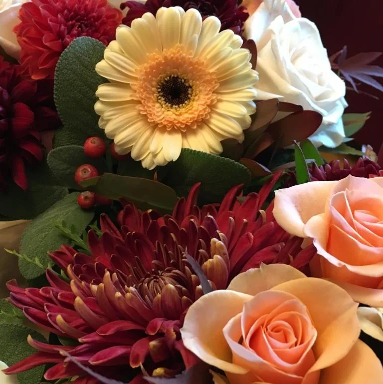Flower Close Up 3.JPG