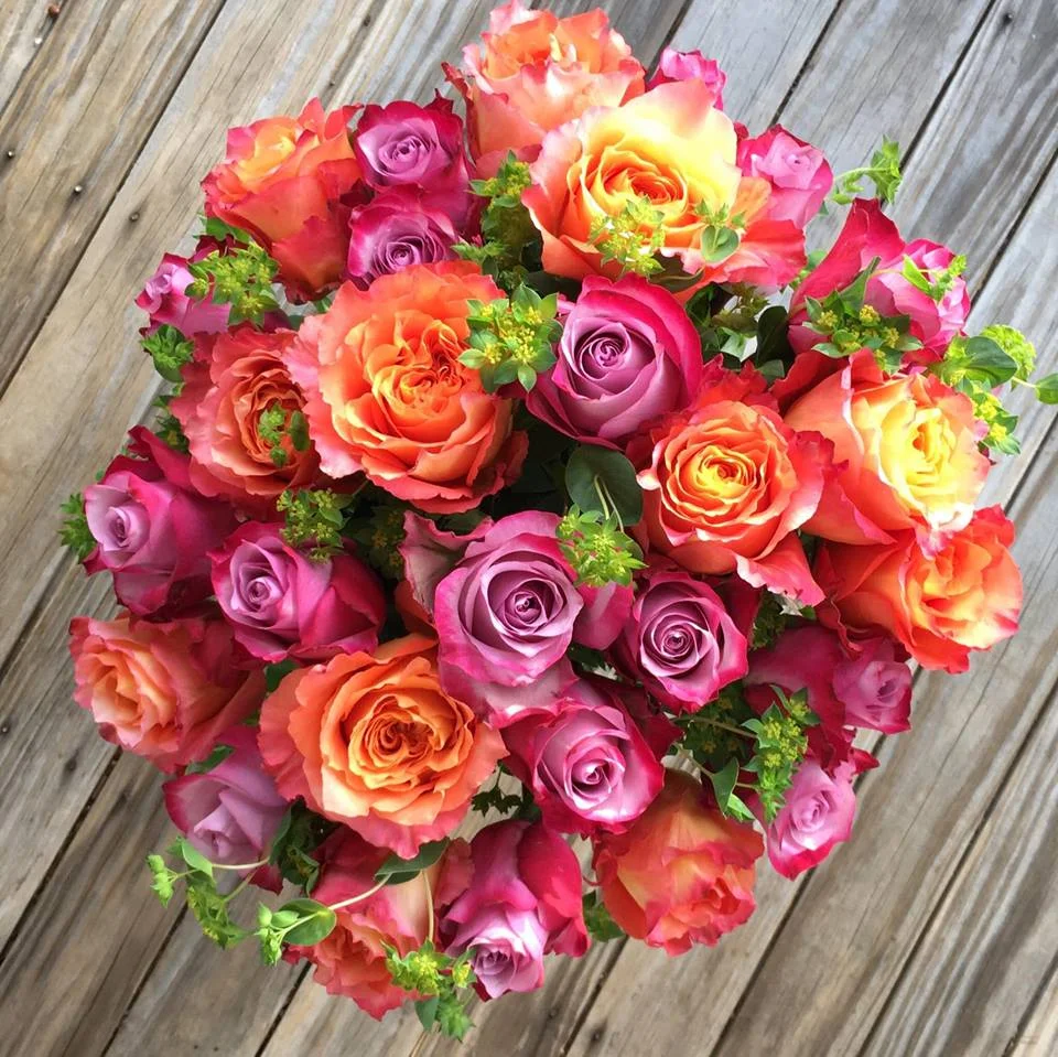 Roses Free Spirit and Deep Purple.jpg