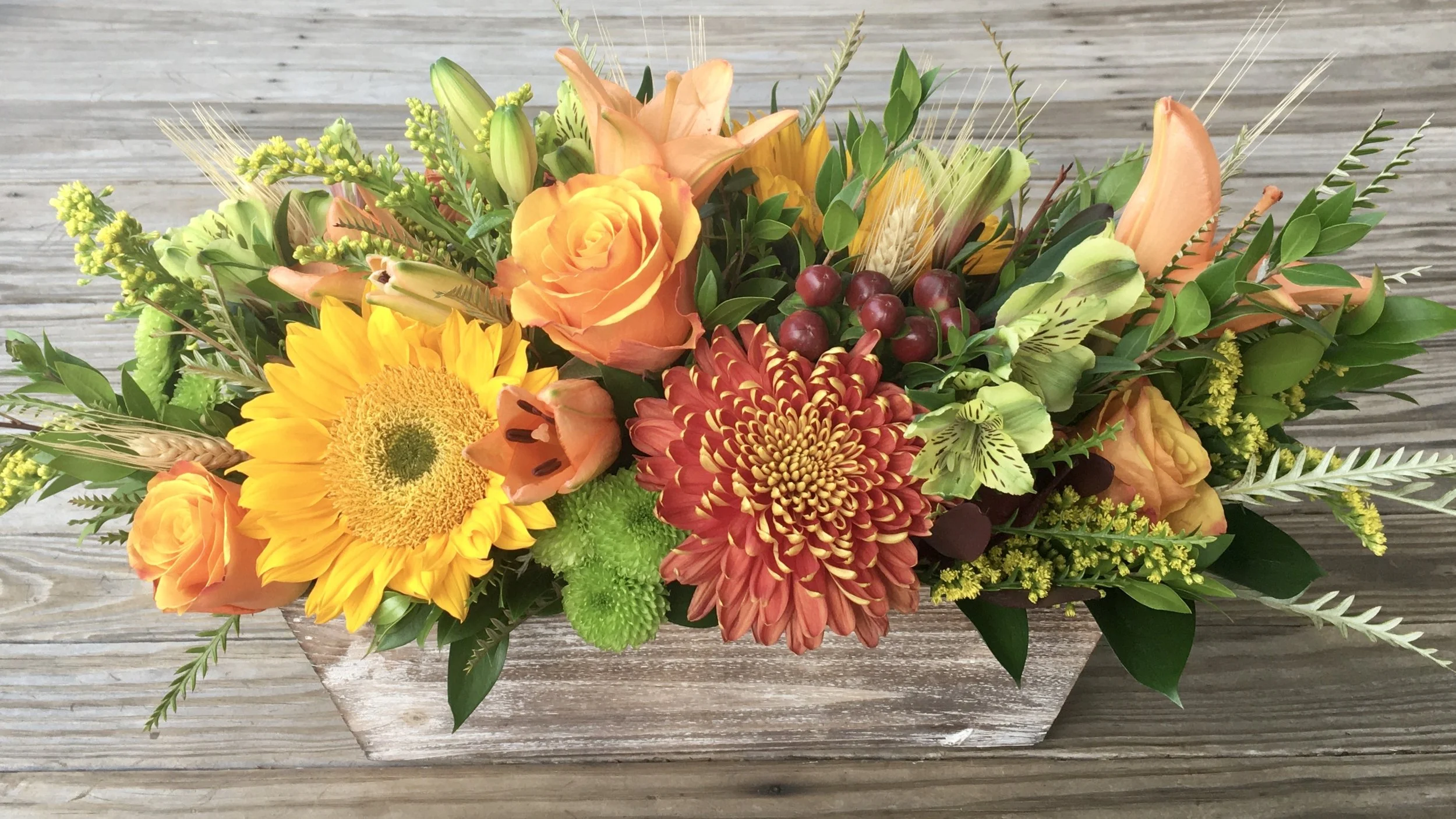 Long & Low $100 - $200