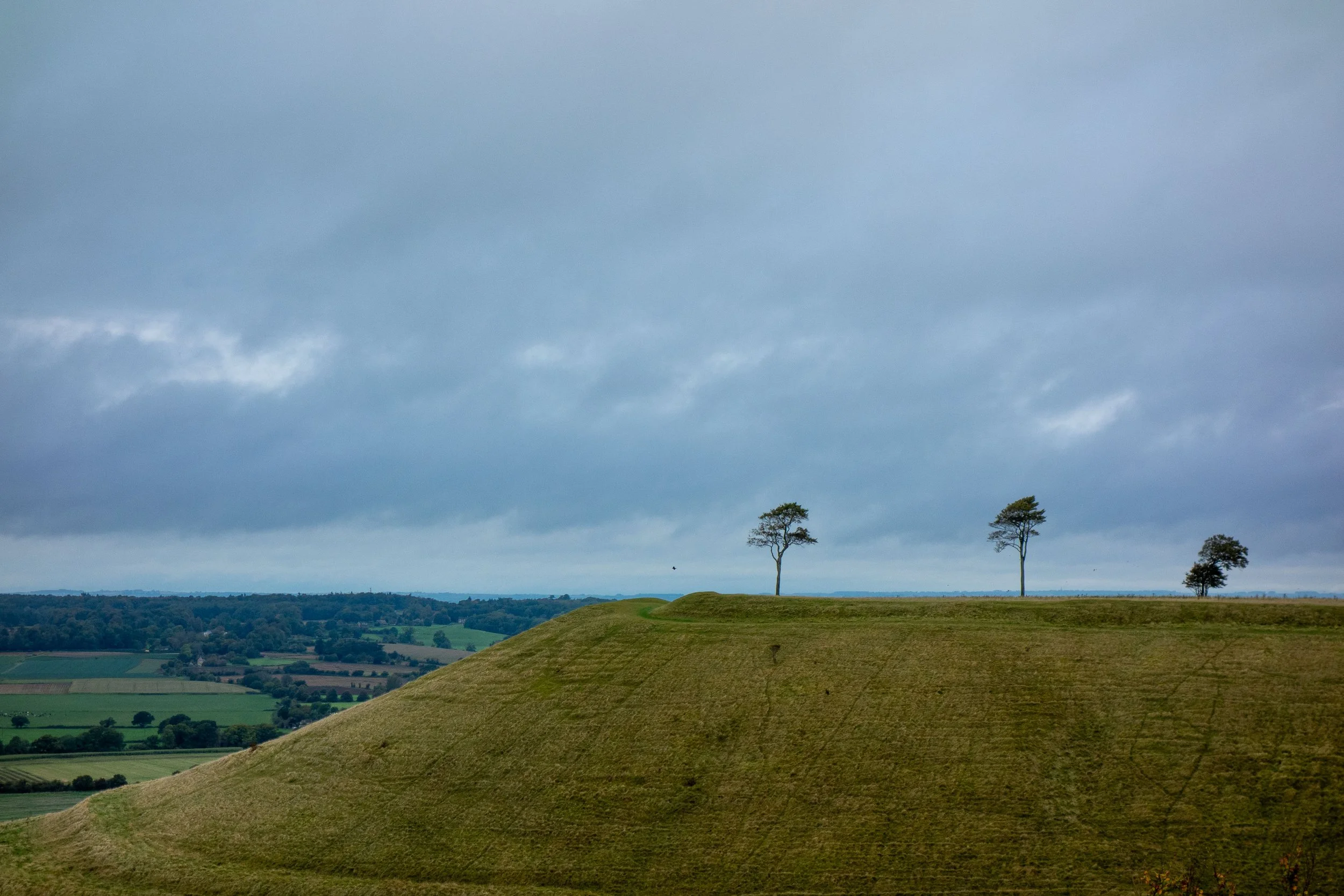 Roundway Down near Devizes