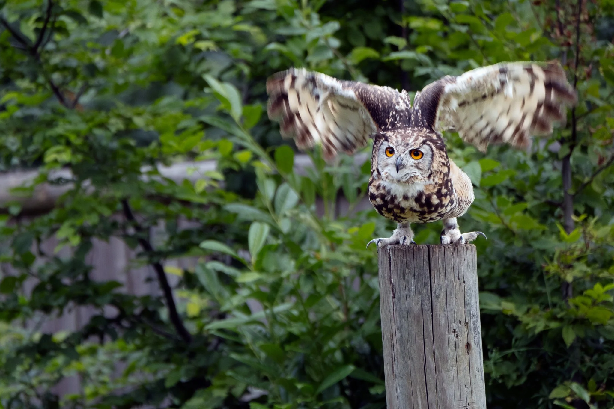 Are you ready to fly?