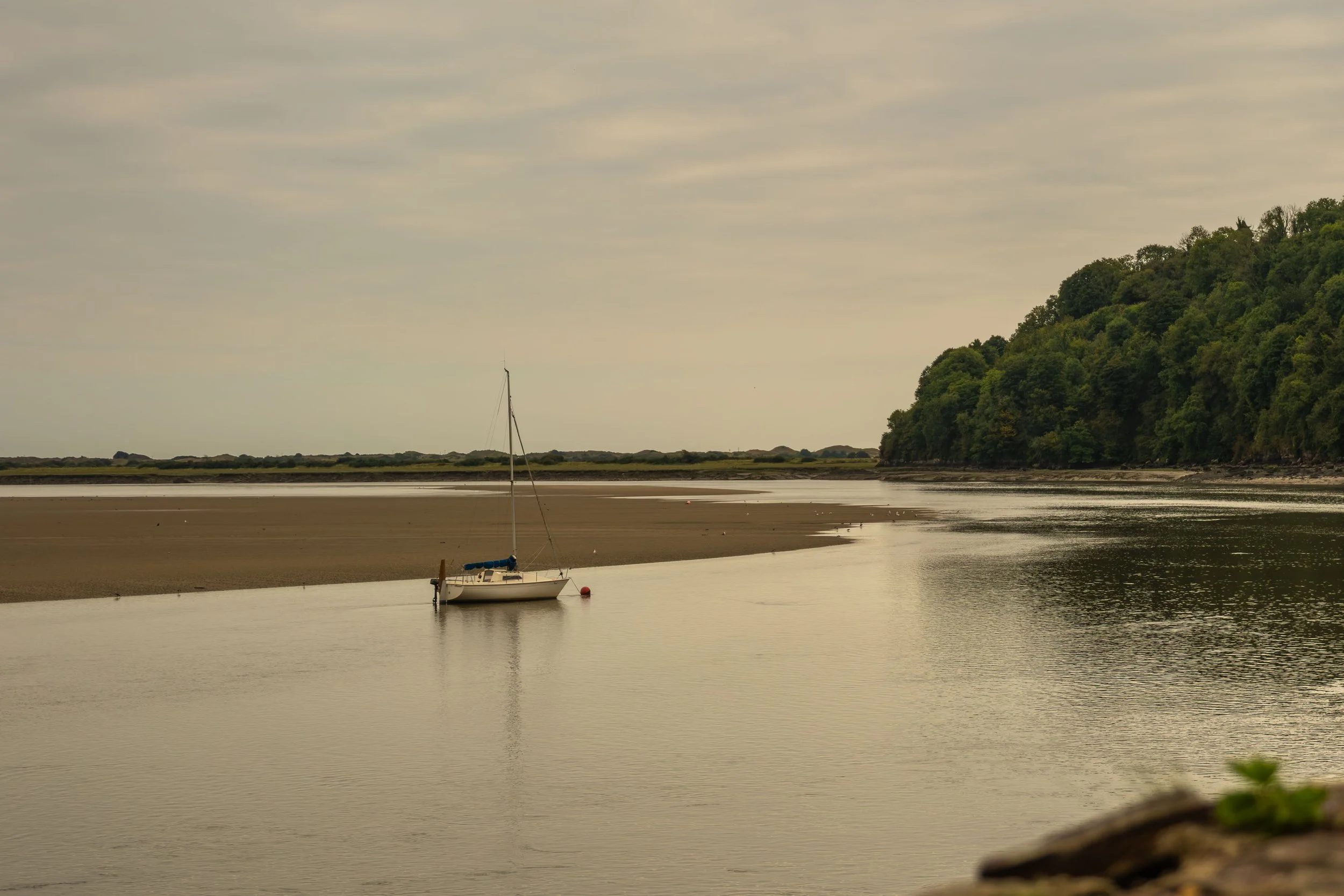 DSCF5982.JPG