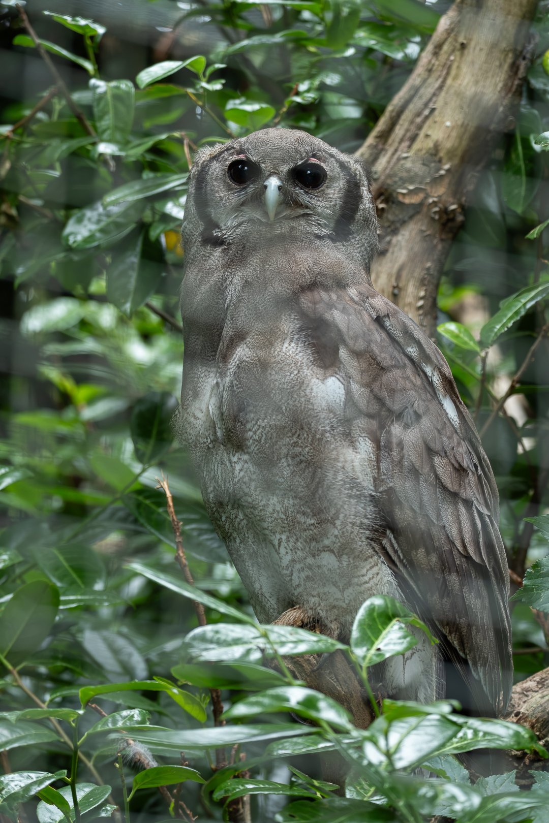 DSCF7944.JPG