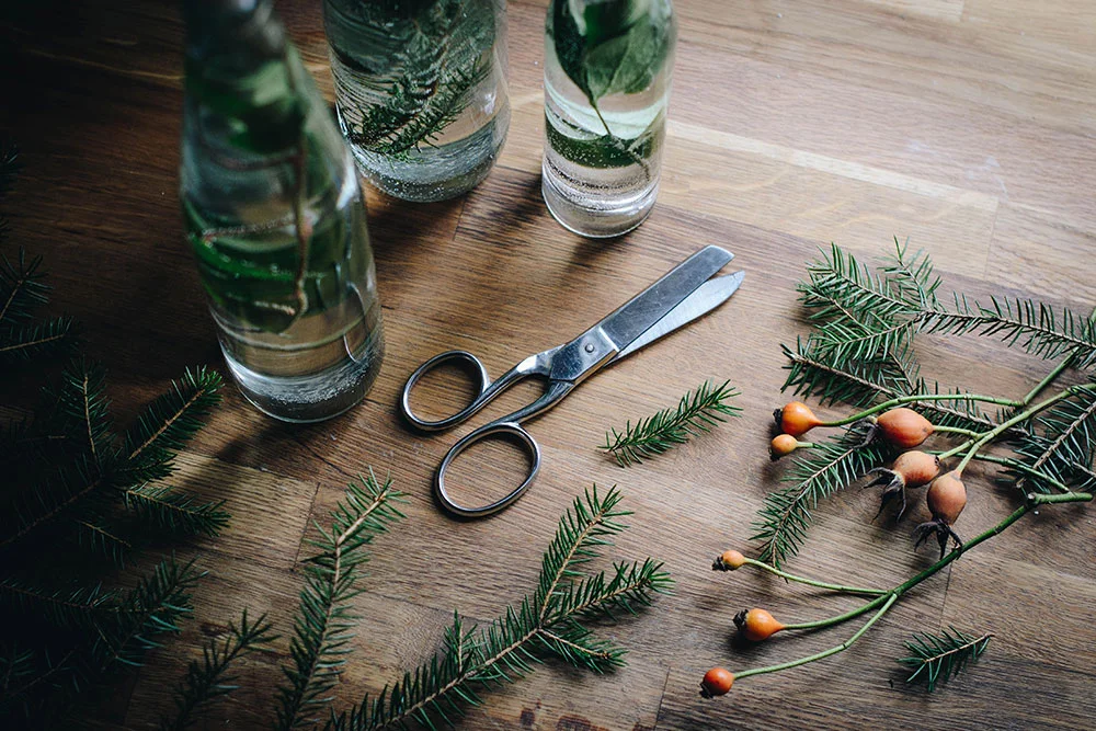 studio_plathuset_DIY_gotland_hem_tradgard.jpg