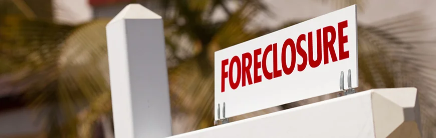 Detroit's Tax Foreclosure Crisis