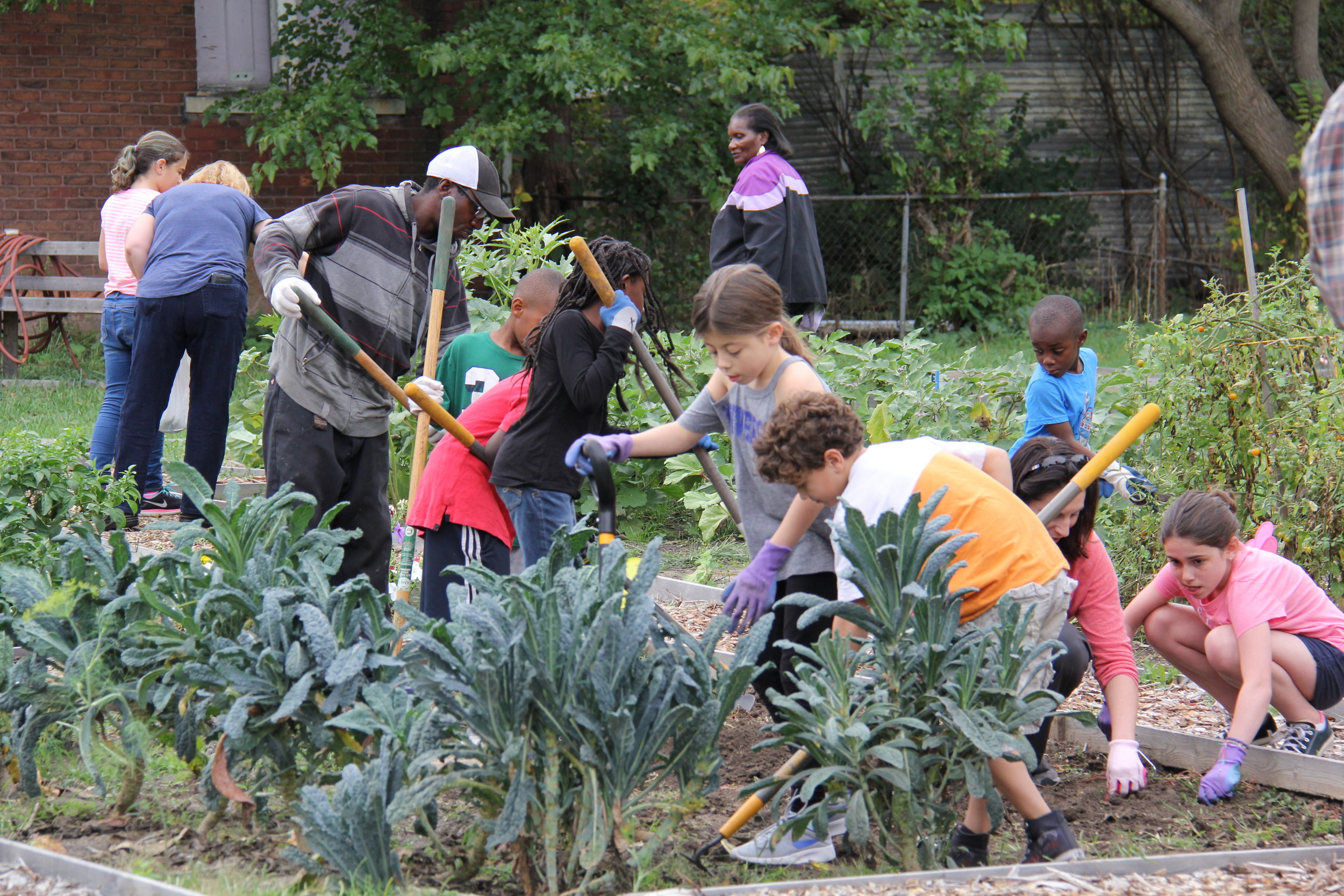 Building a Bridge Over Dinner