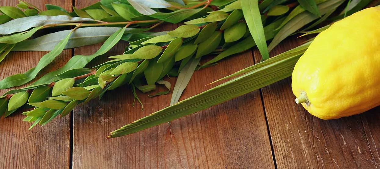 Third Annual Motor City Sukkah Hop