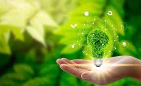 How To: Sustainably Live & Work From Home