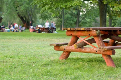 Outdoor Shabbat, 6/12