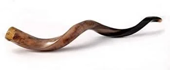 High Holiday Services with the Downtown Synagogue 