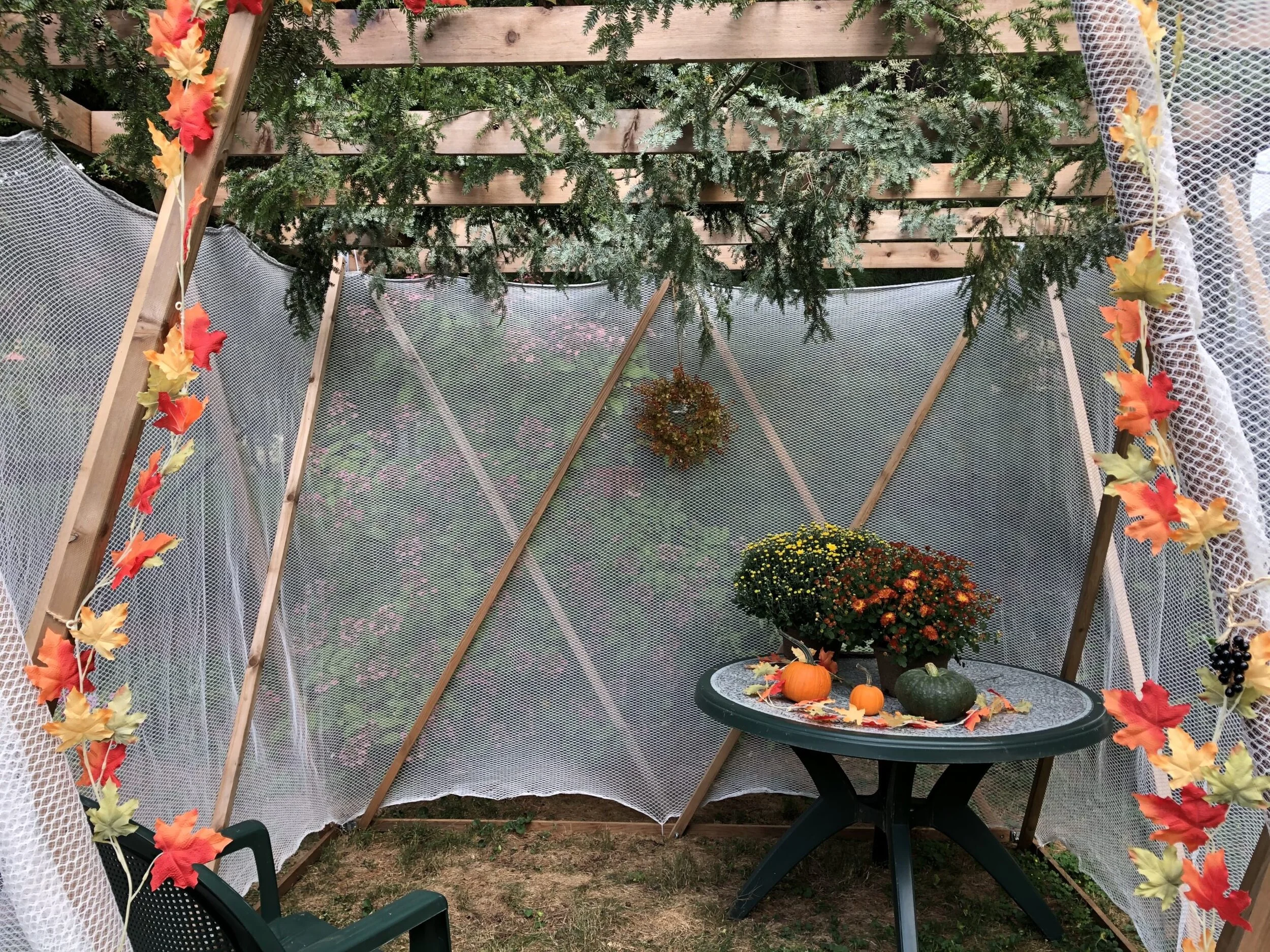 Schmooze In The Sukkah