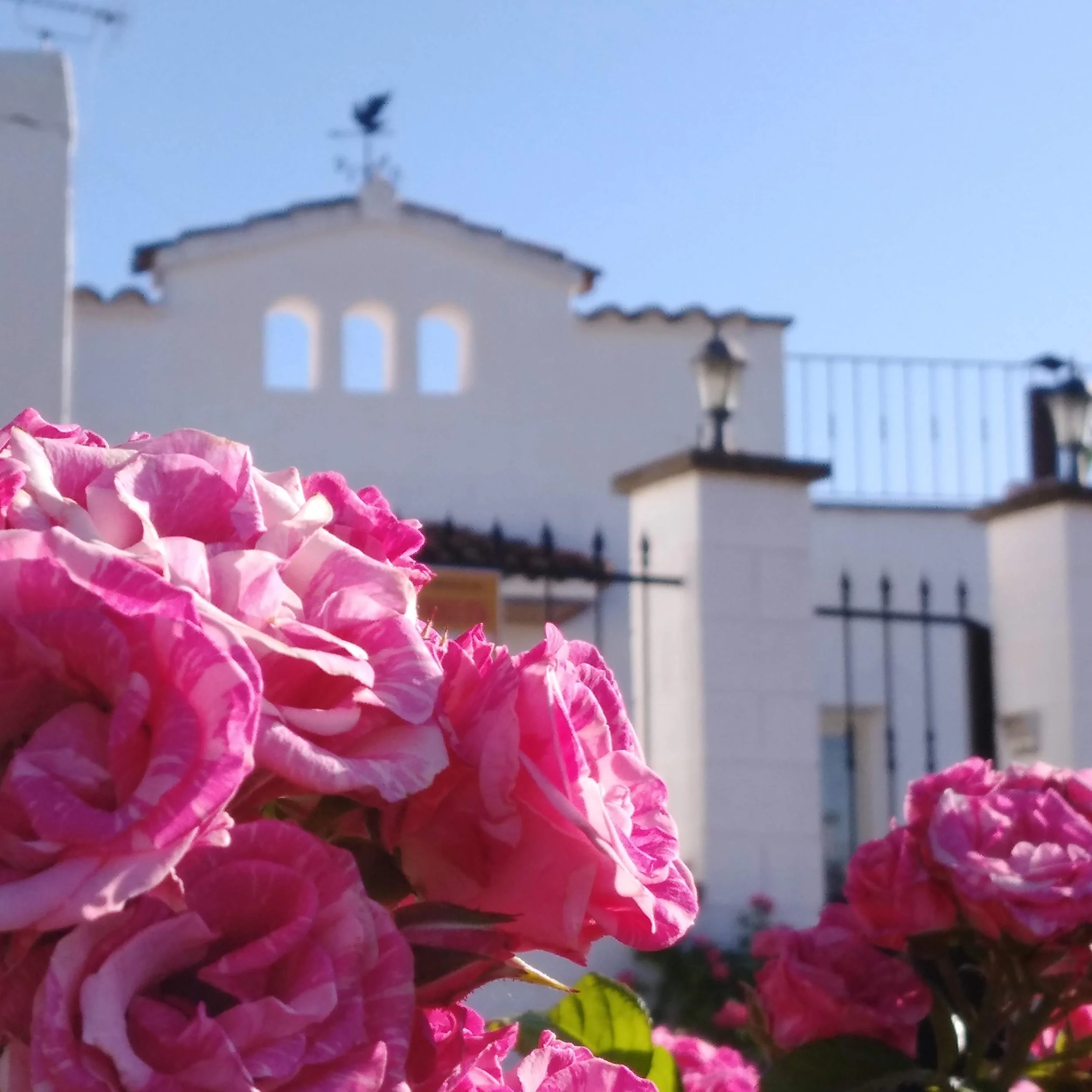 PRACTICAL MAGIC RETREAT - BARCELONA, SPAIN