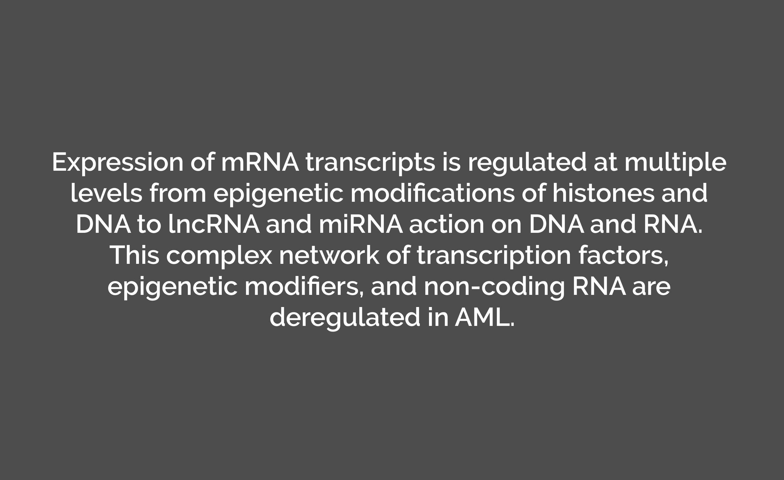 2epigenetic ncRNA summary in AML-known and unknown-03.jpg