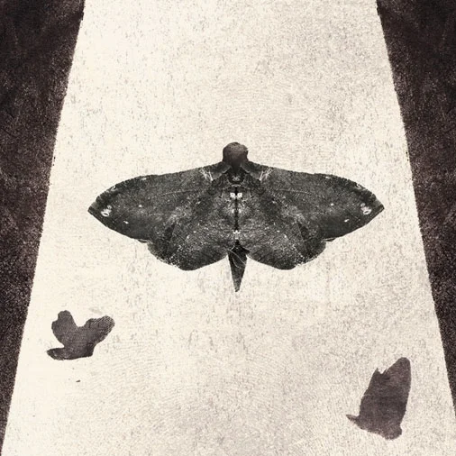 Moth co2.jpg