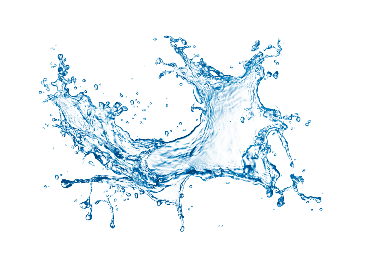 THE WATER