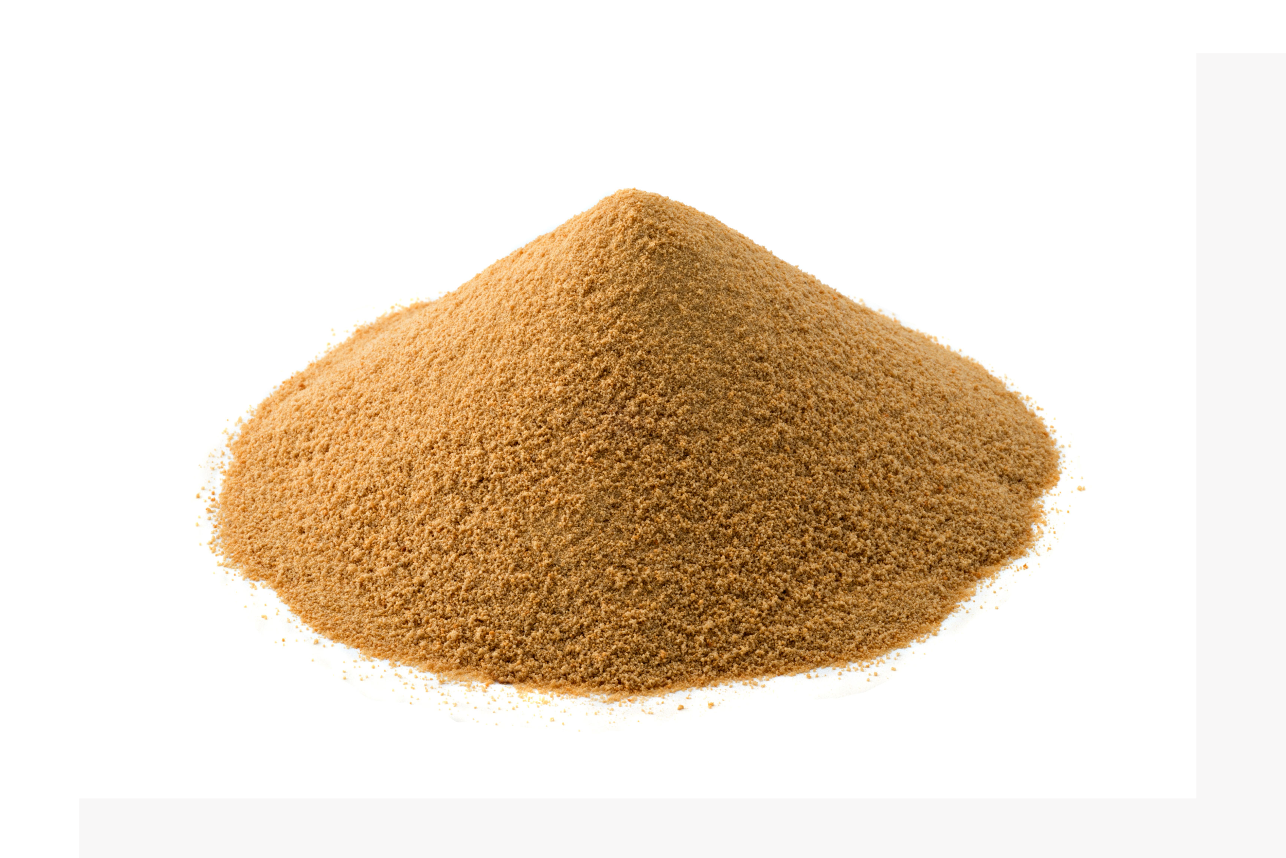 THE YEAST