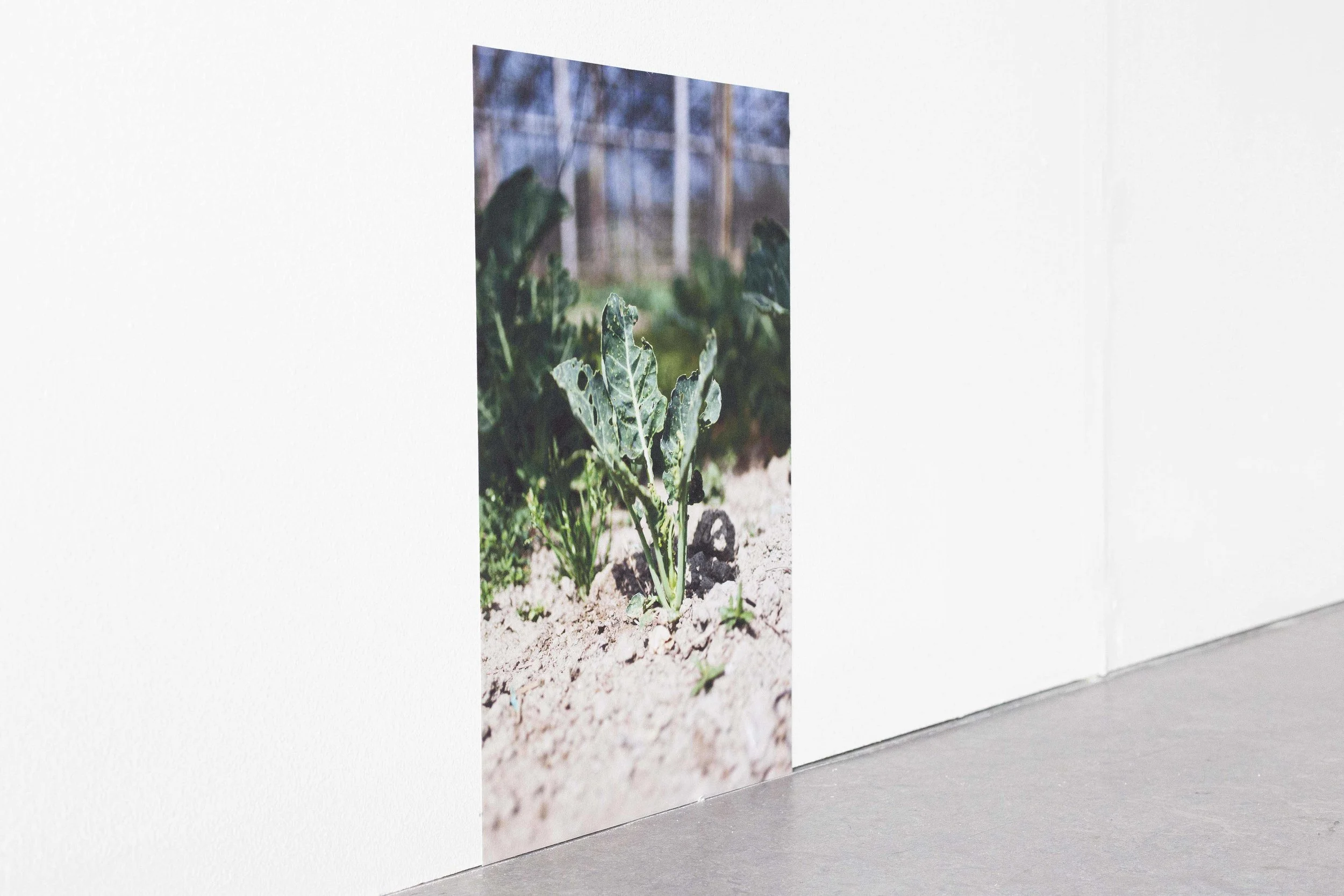 Graduate show images_5.JPG