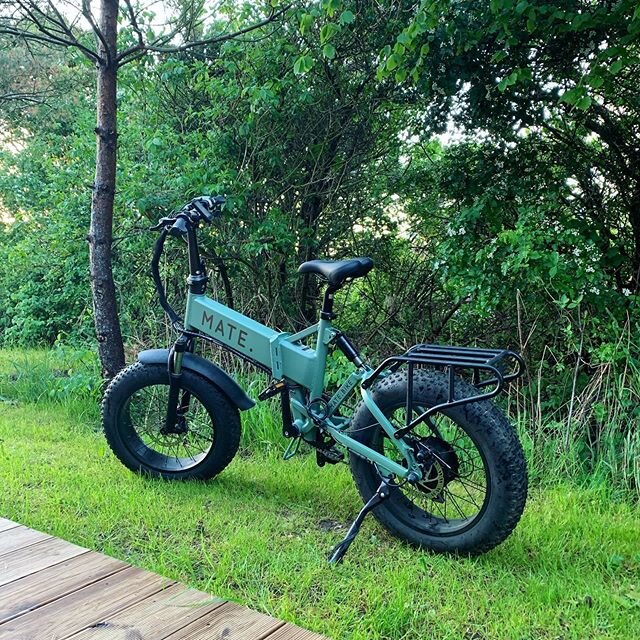 Mate Bike set up for sunset ☀️🌱 yours to rent 😃 and no worries, we have two ✌️