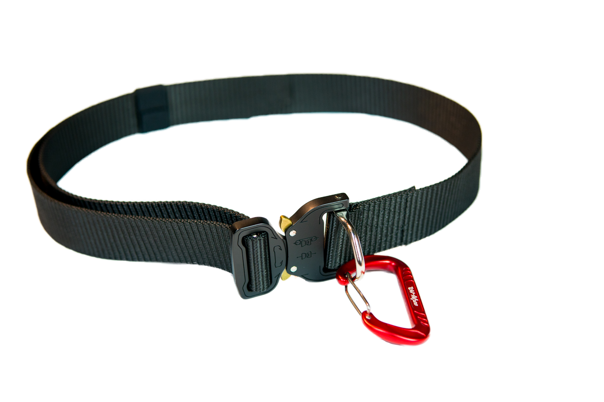 Проси ремень. Bike Bungee Tow. Back adjustment Belt. Waist Belt PNG. Ремень Коппер m черный.