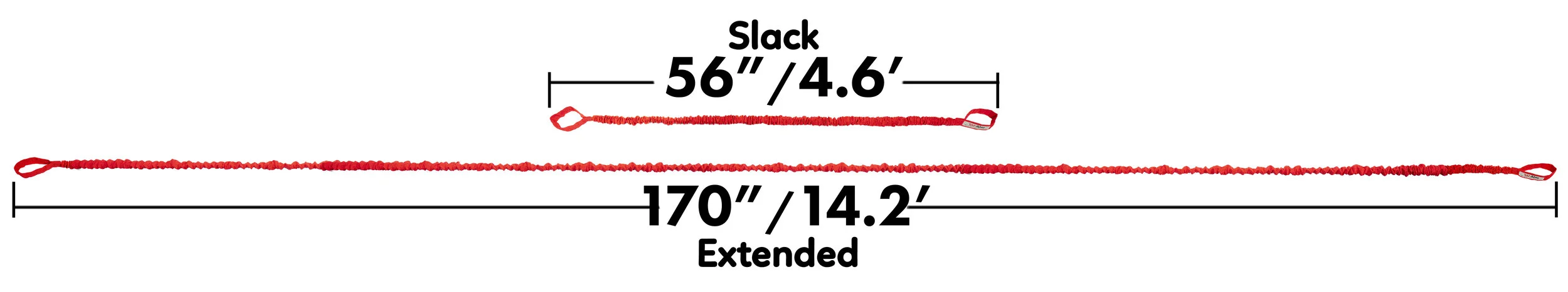 Full Length Compair Red Inch Labeled 170.jpg