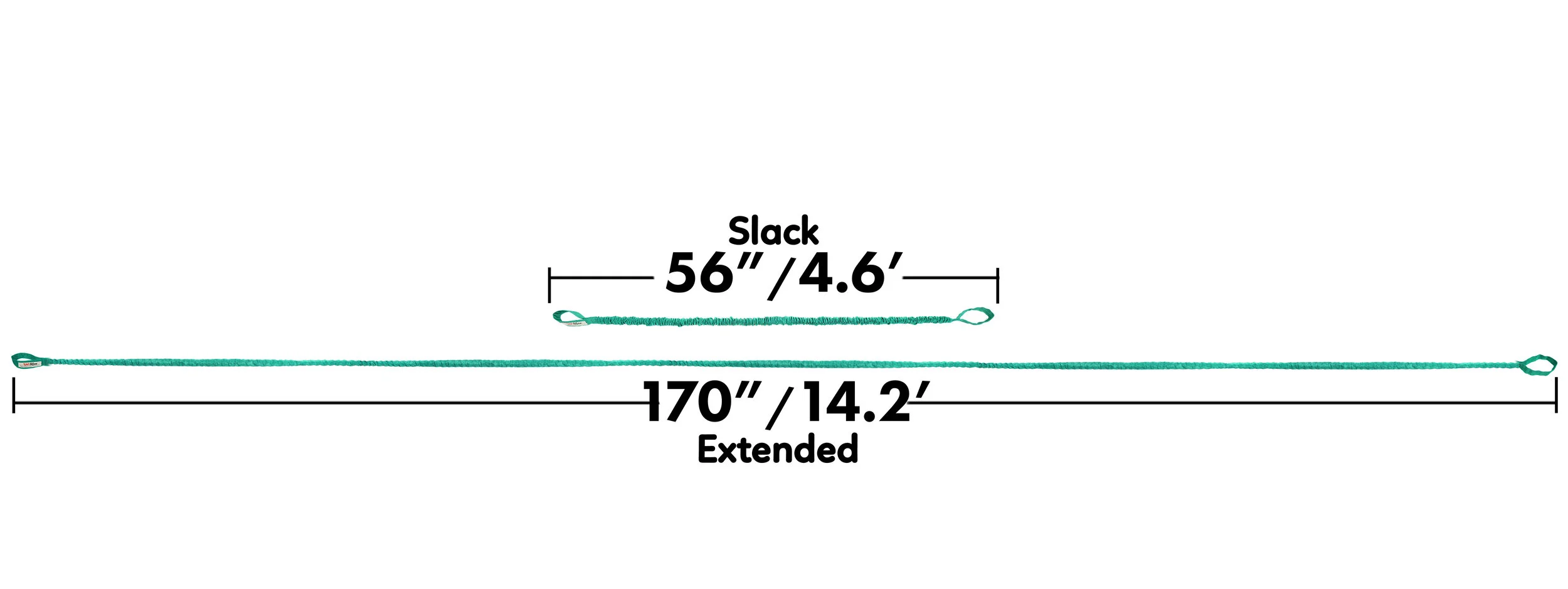 Full Length Compair Green 170.jpg