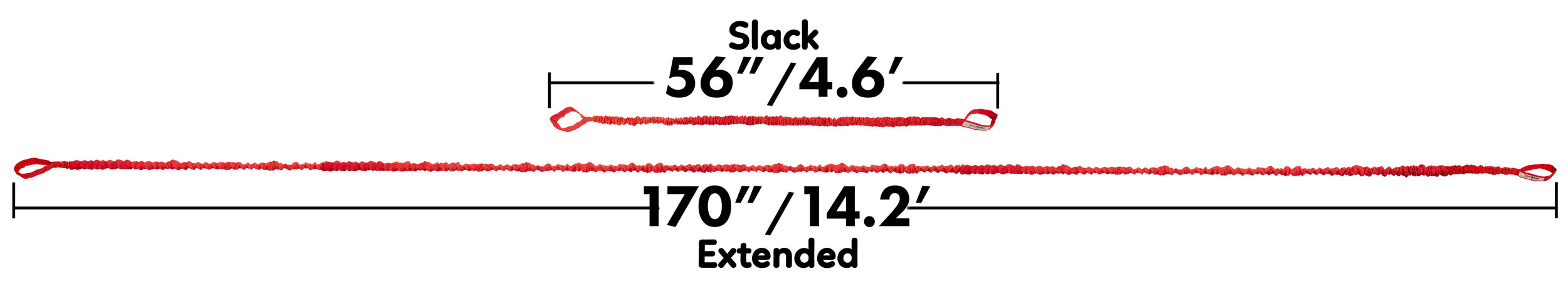 Full Length Compair Red Inch Labeled 170.jpg